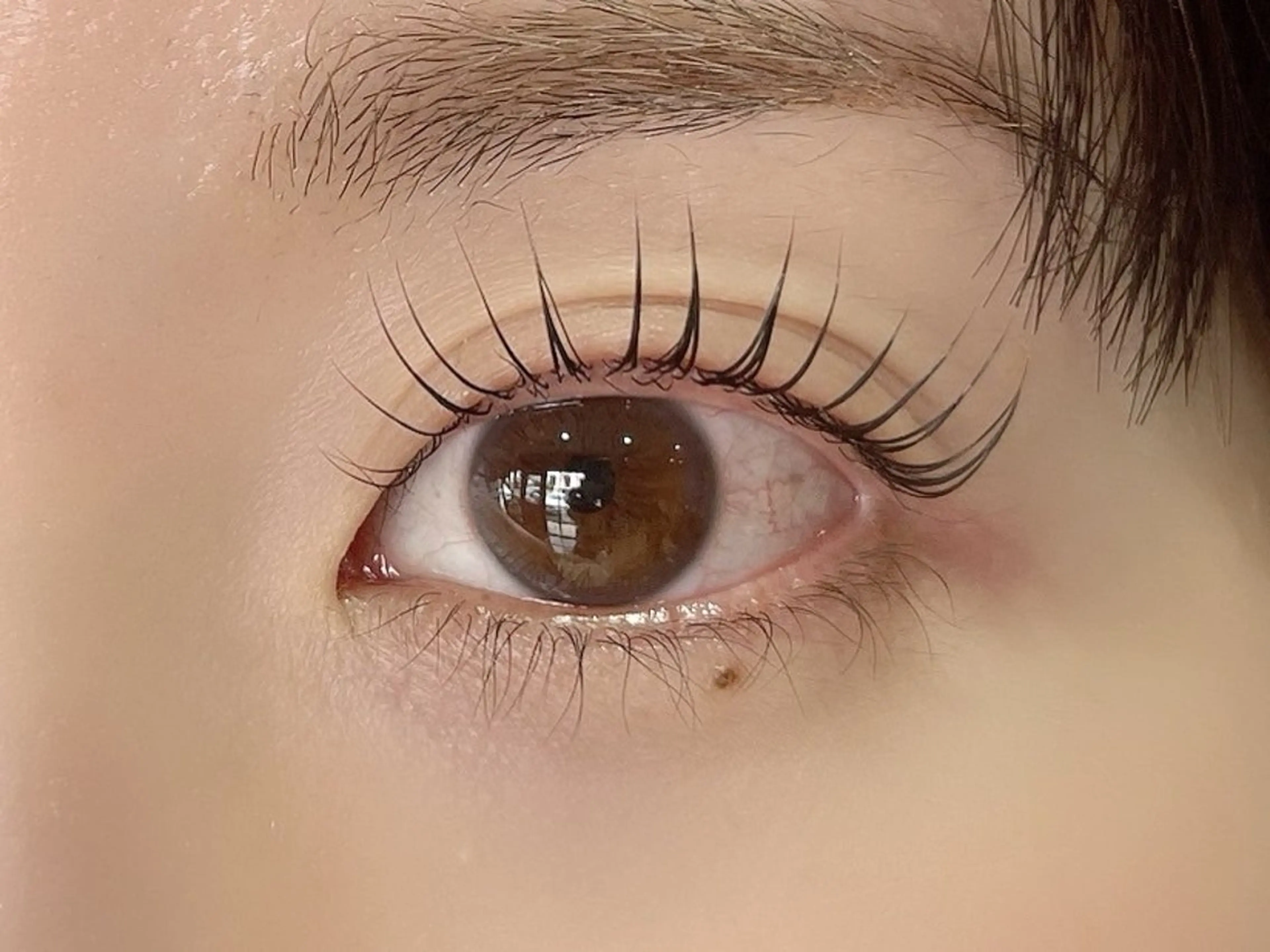 hanaCoco+plus所属・hanacoco ＋plusのマツエク・マツパデザイン