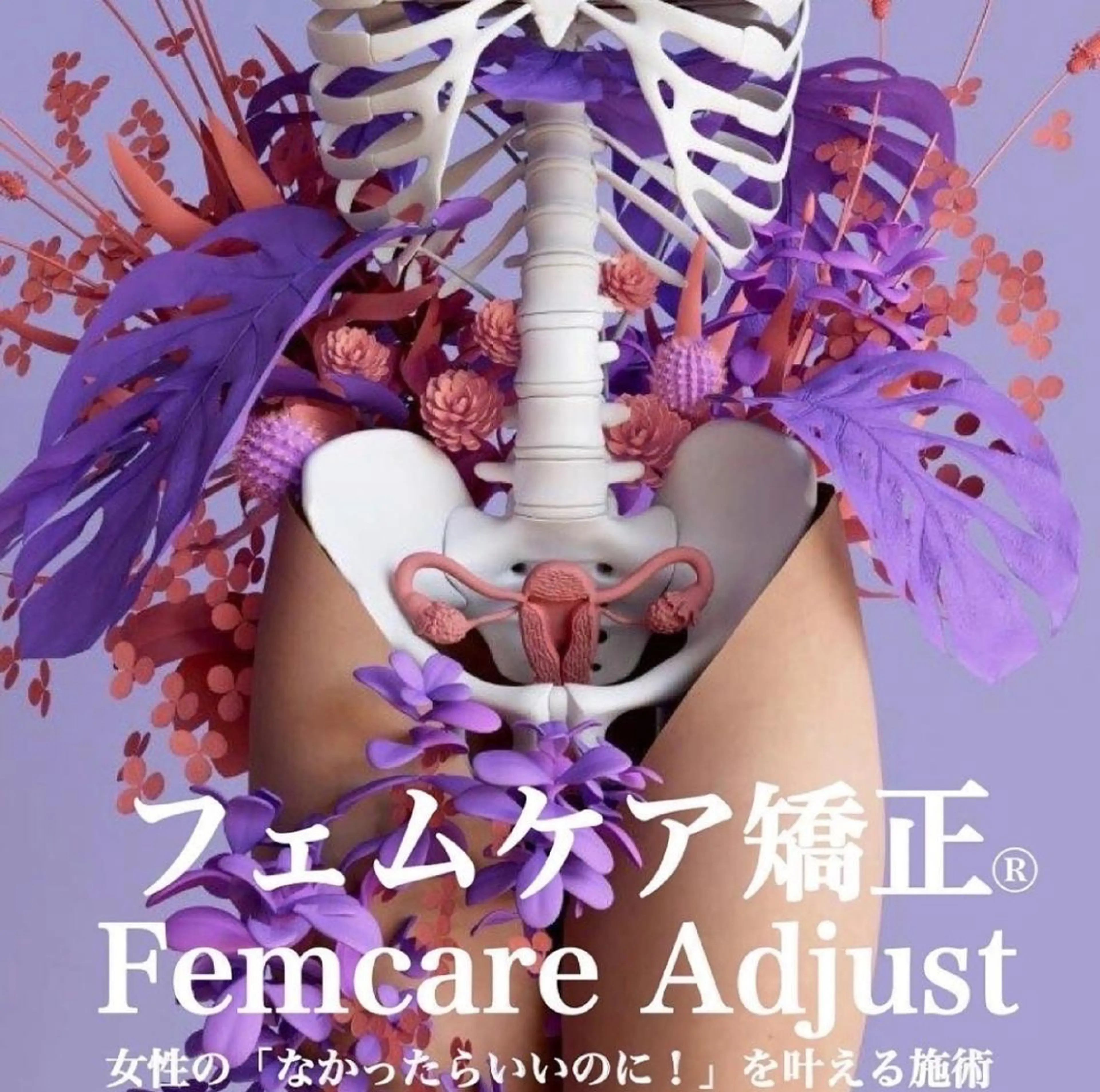 フェムケア矯正の写真