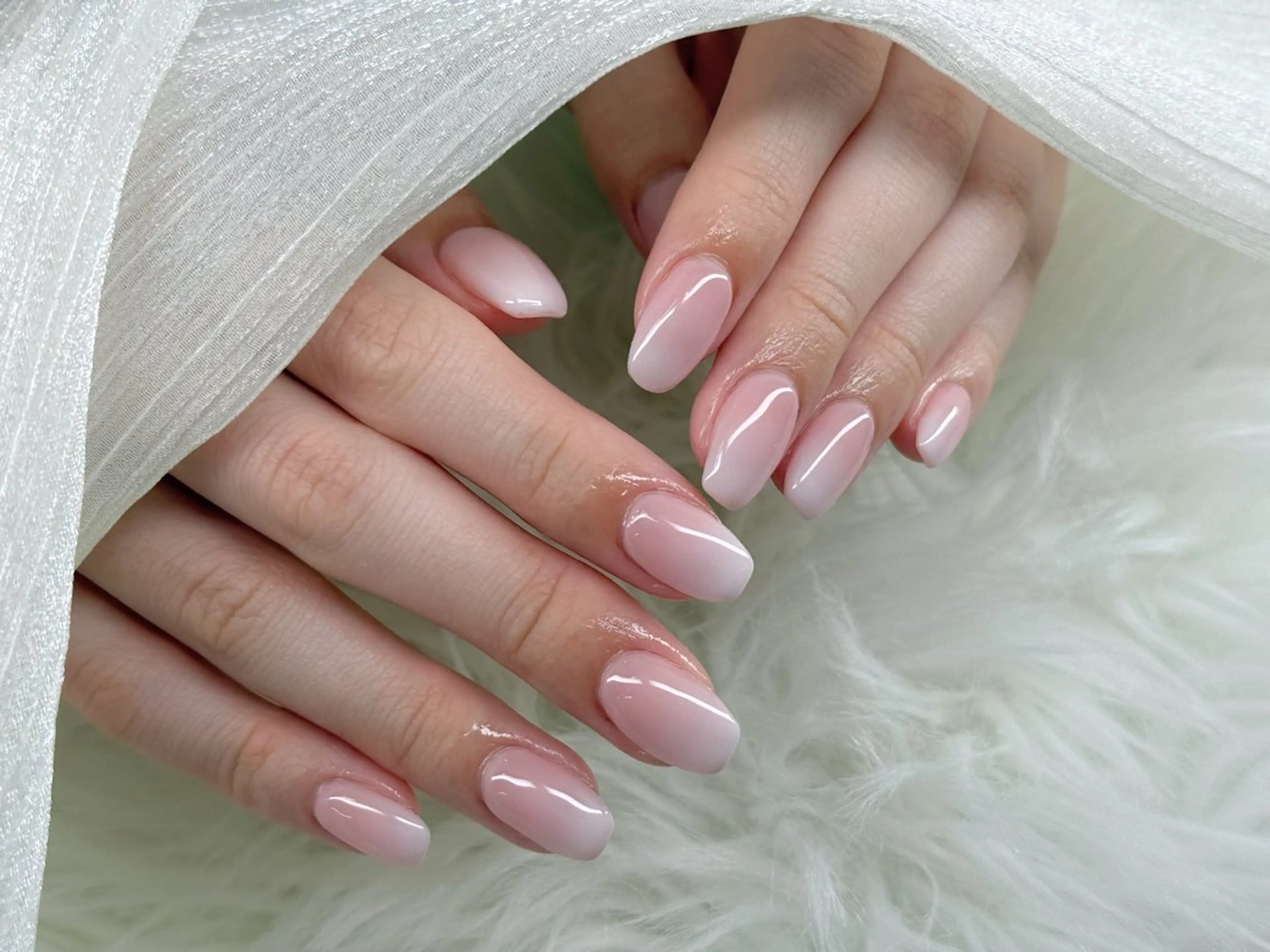 ネイル グラデーション ワンカラーネイル ホワイト ハンドネイル Agate miku🎀‧₊のネイルデザイン