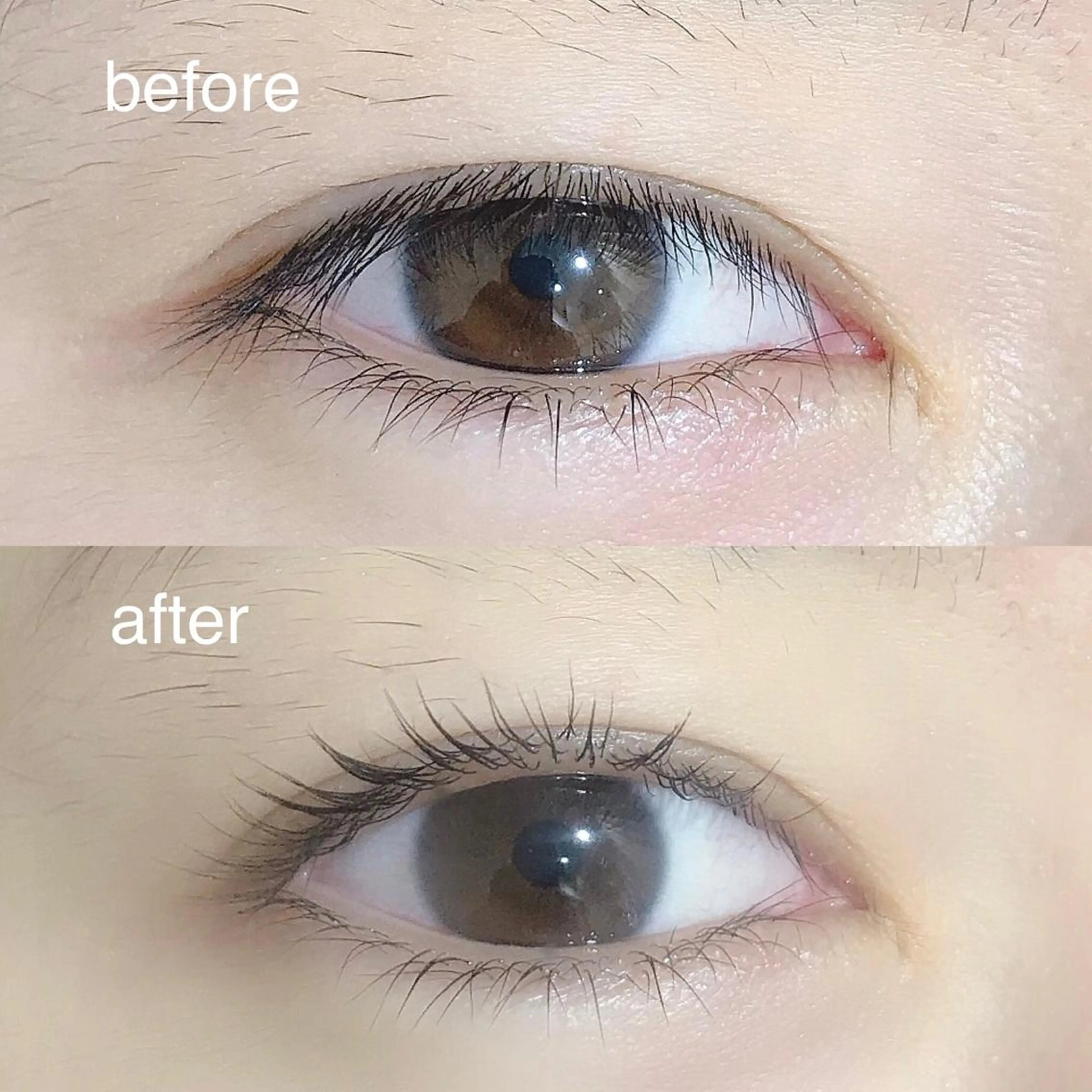 マツエク・マツパ パーマ×ウルフカット koya☆のヘアスタイル