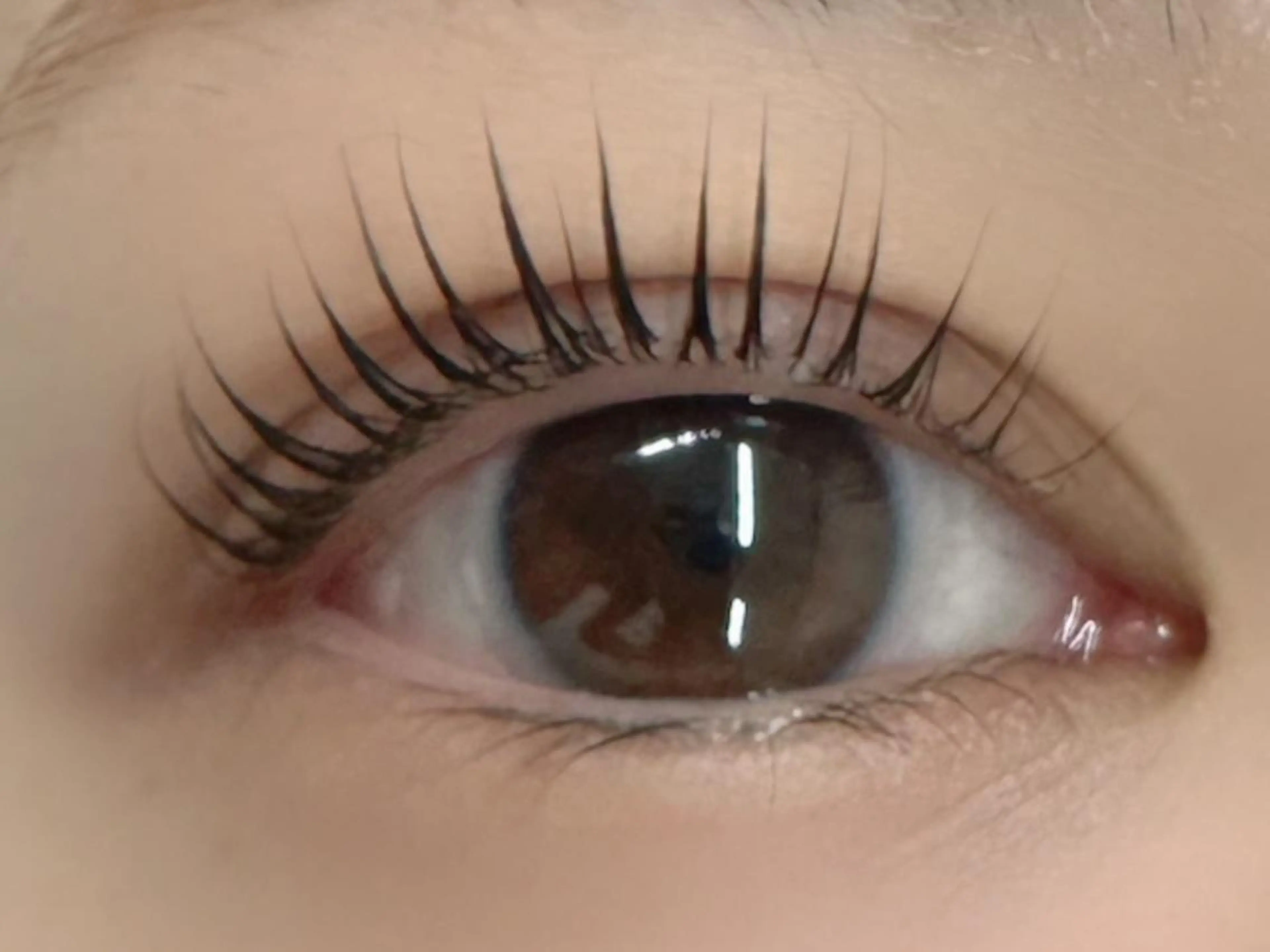 マツエク・マツパ Mian津田沼🌺 ひかりのマツエク・マツパデザイン