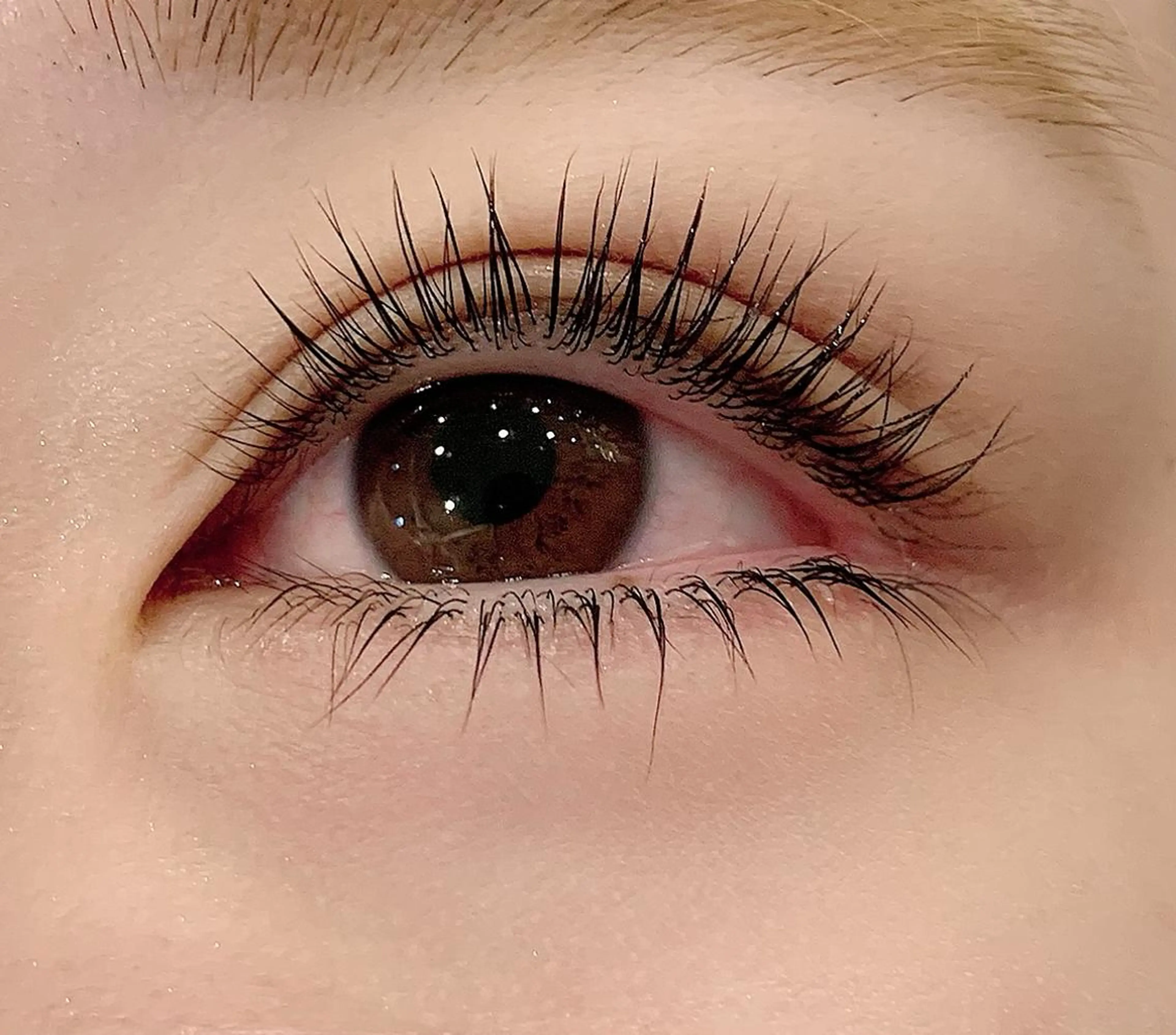 次世代パリジェンヌラッシュリフト上下　オフ代別途¥550の写真