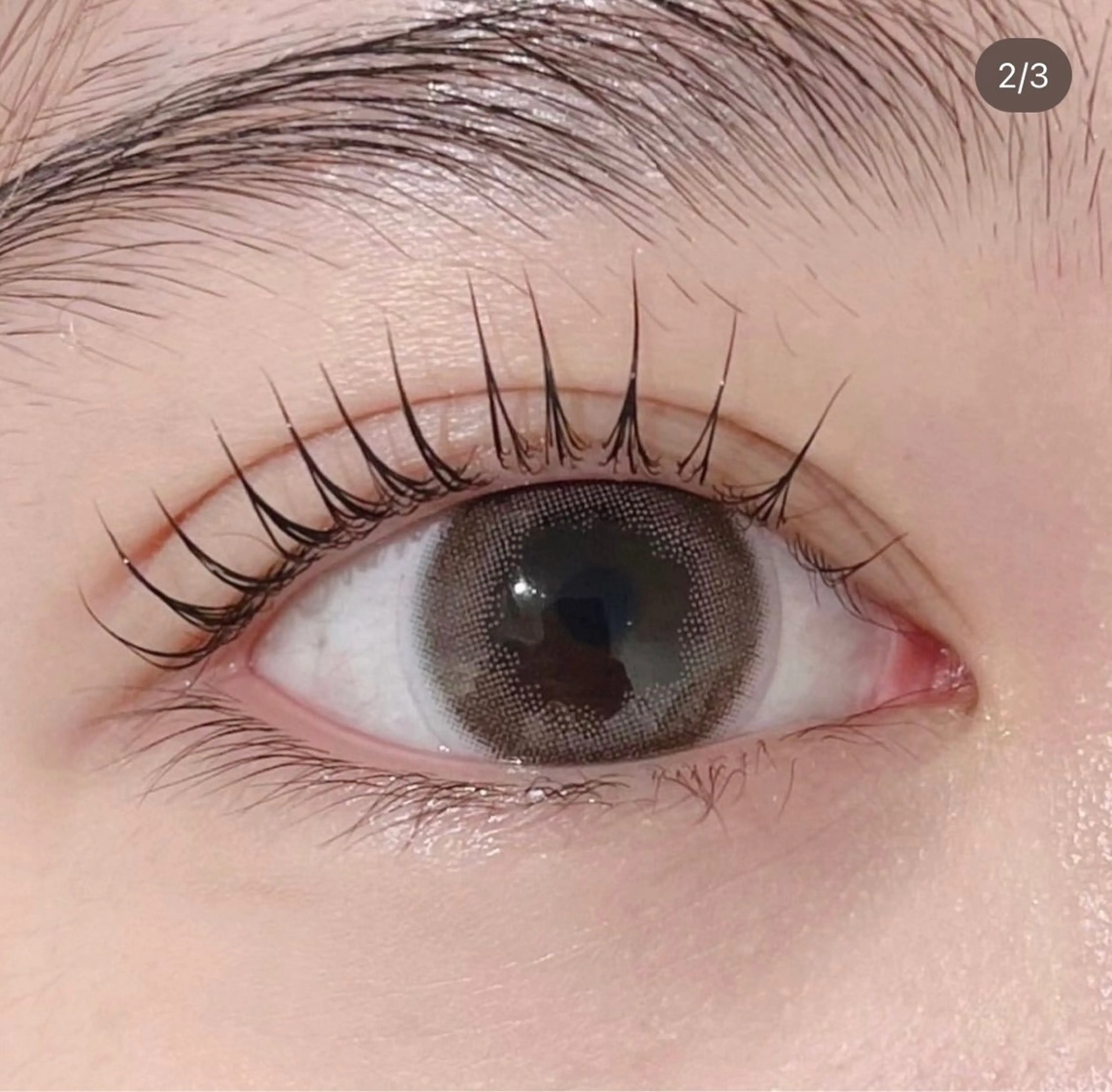 平日限定パリジェンヌorラッシュリフトの写真