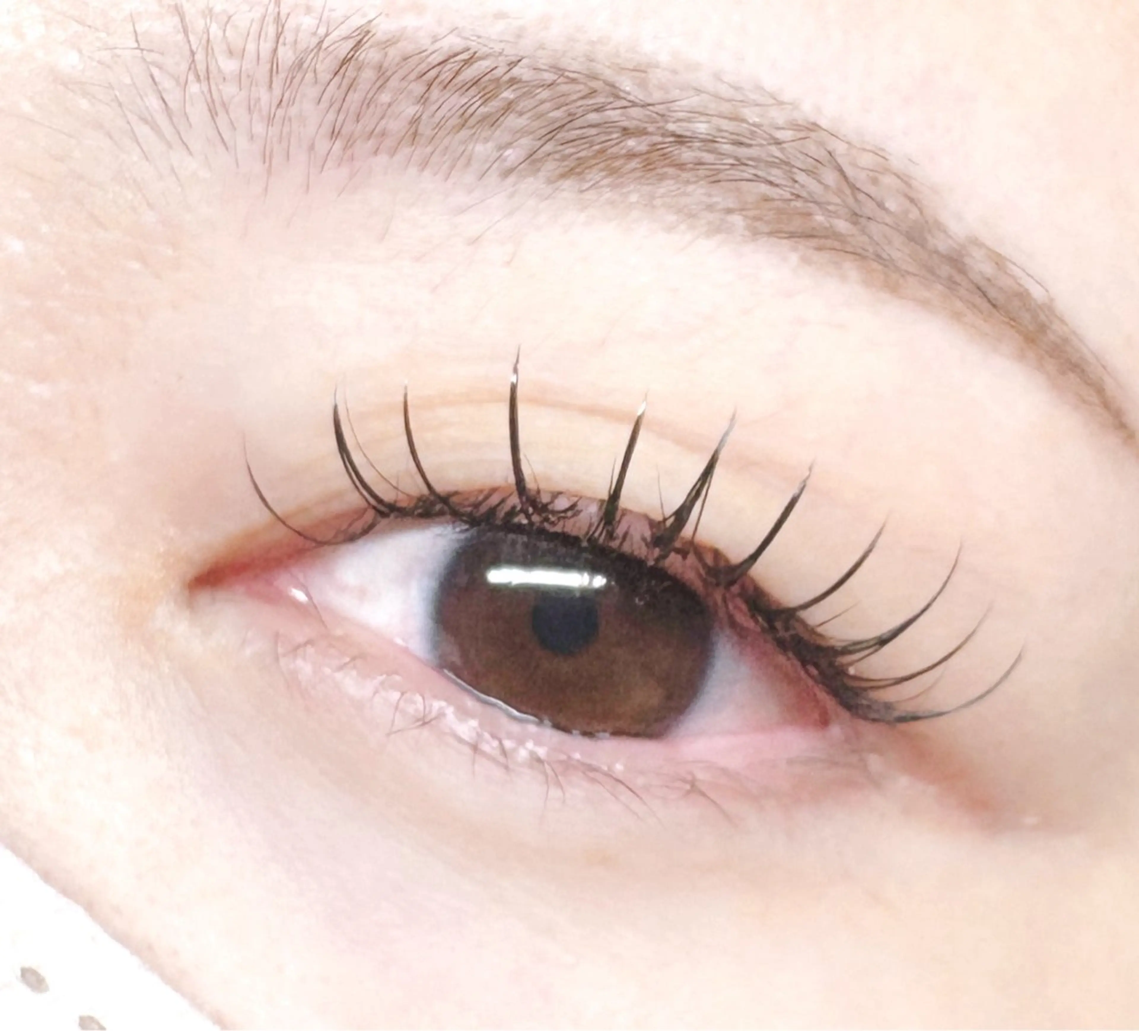 フラットラッシュ120本【アイシャンプー付き🫧】の写真