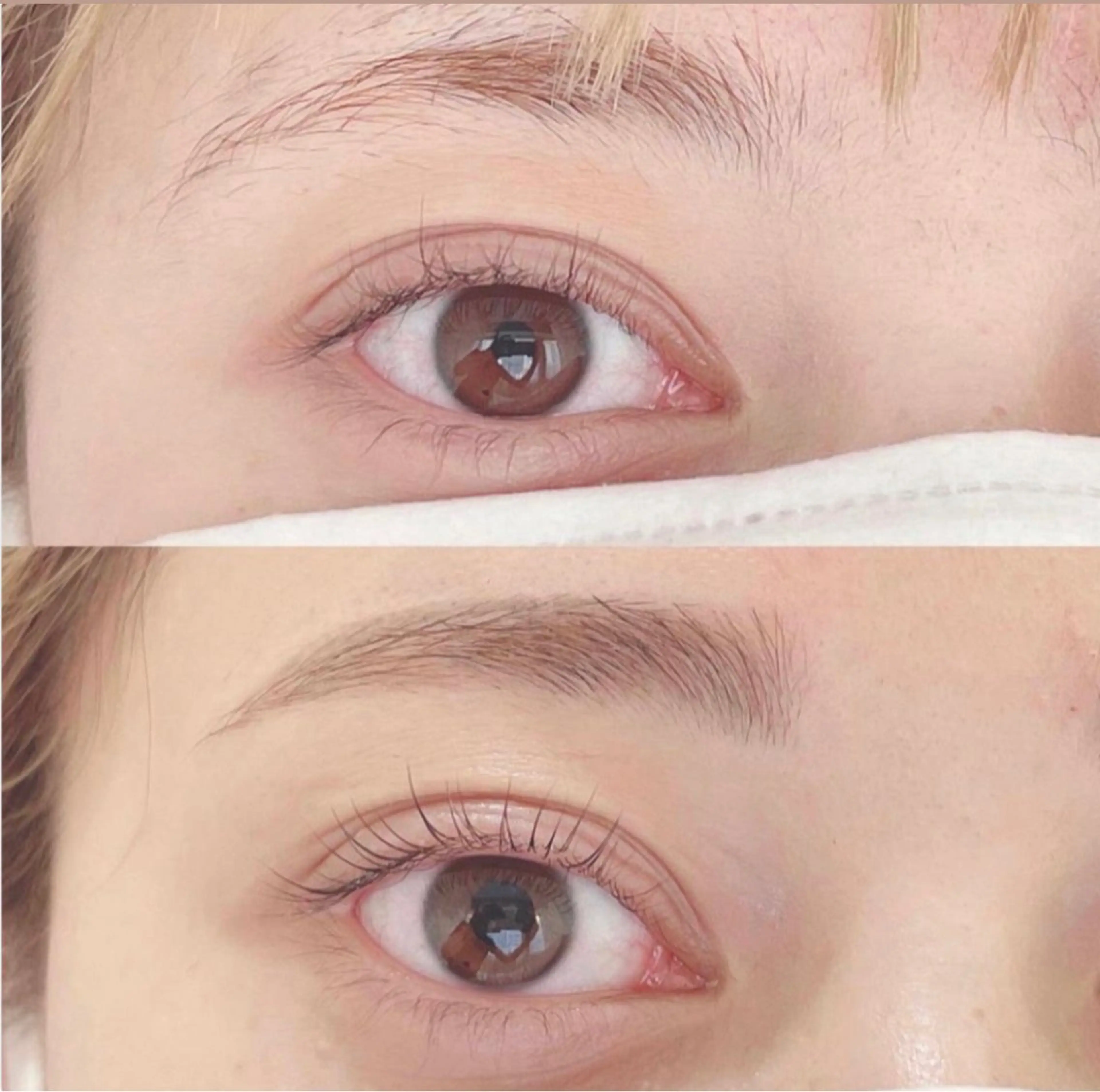 マツエク・マツパ マツパ Embellir/ "Aine"🕊のマツエク・マツパデザイン