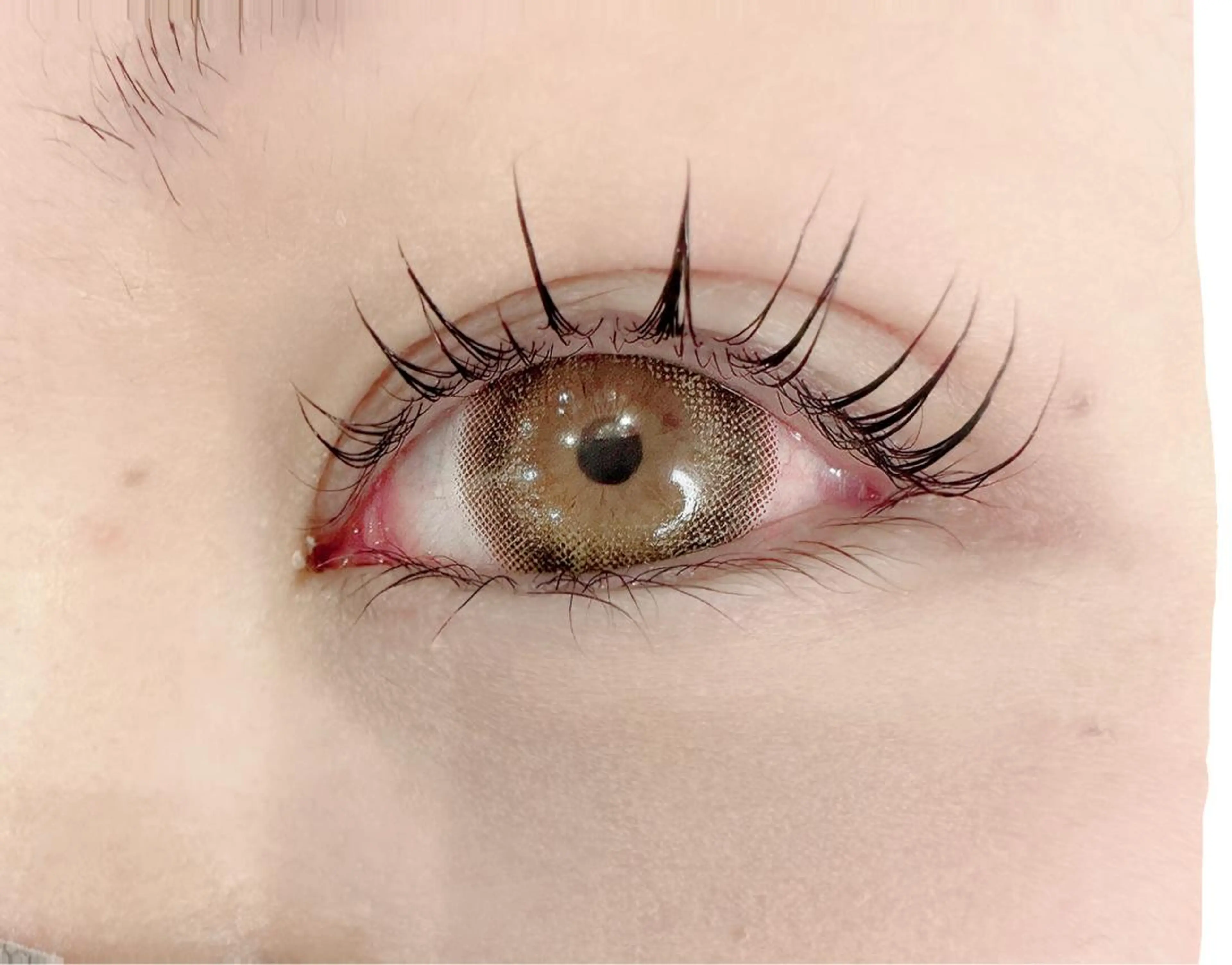 人気上昇中！くるんとカールな目元😉ケラチンラッシュリフト(上下可能)ケラチンブースタートリートメント付きの写真