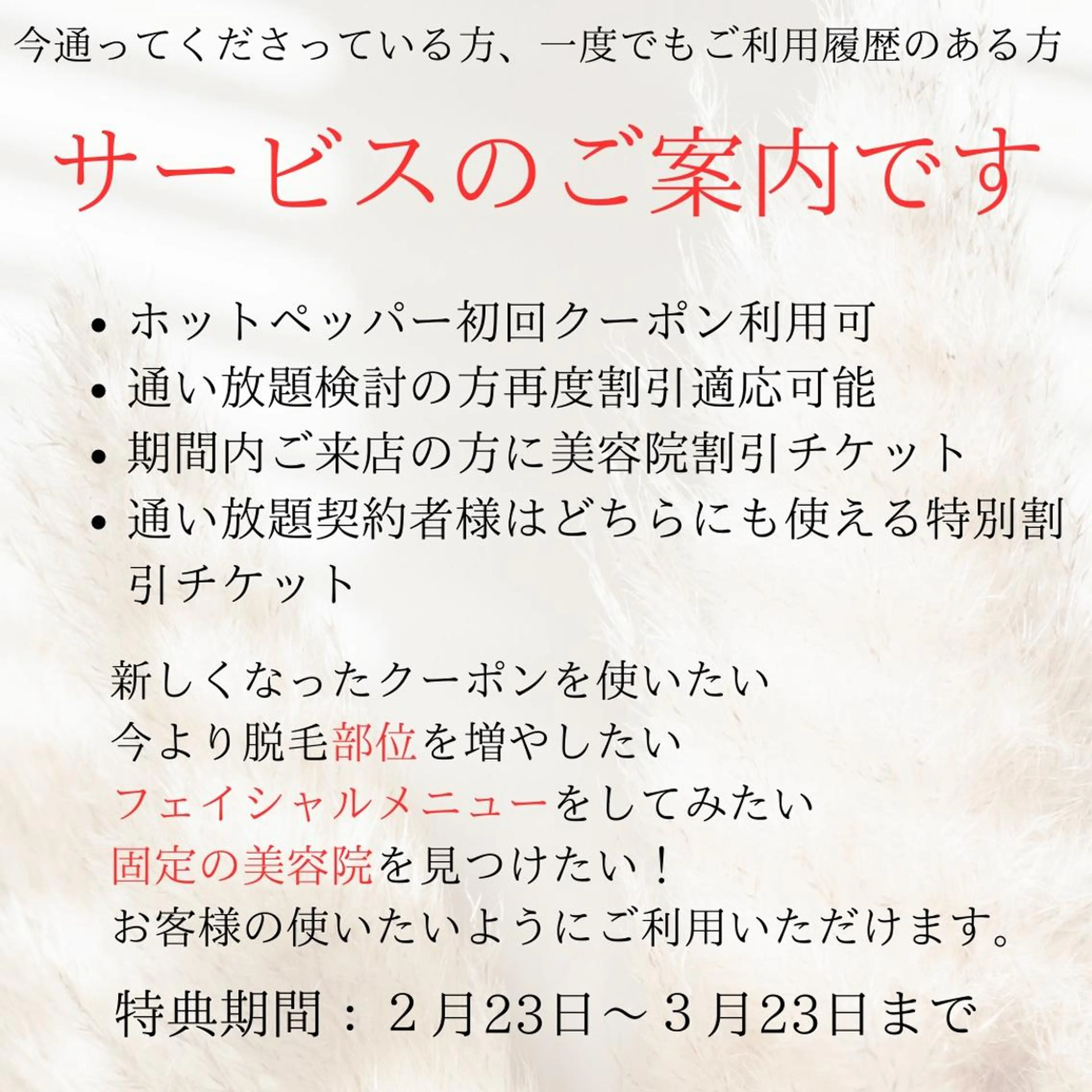 メンズ 男女同額完全個室脱毛 LEPIA内田のエステ・リラクイメージ
