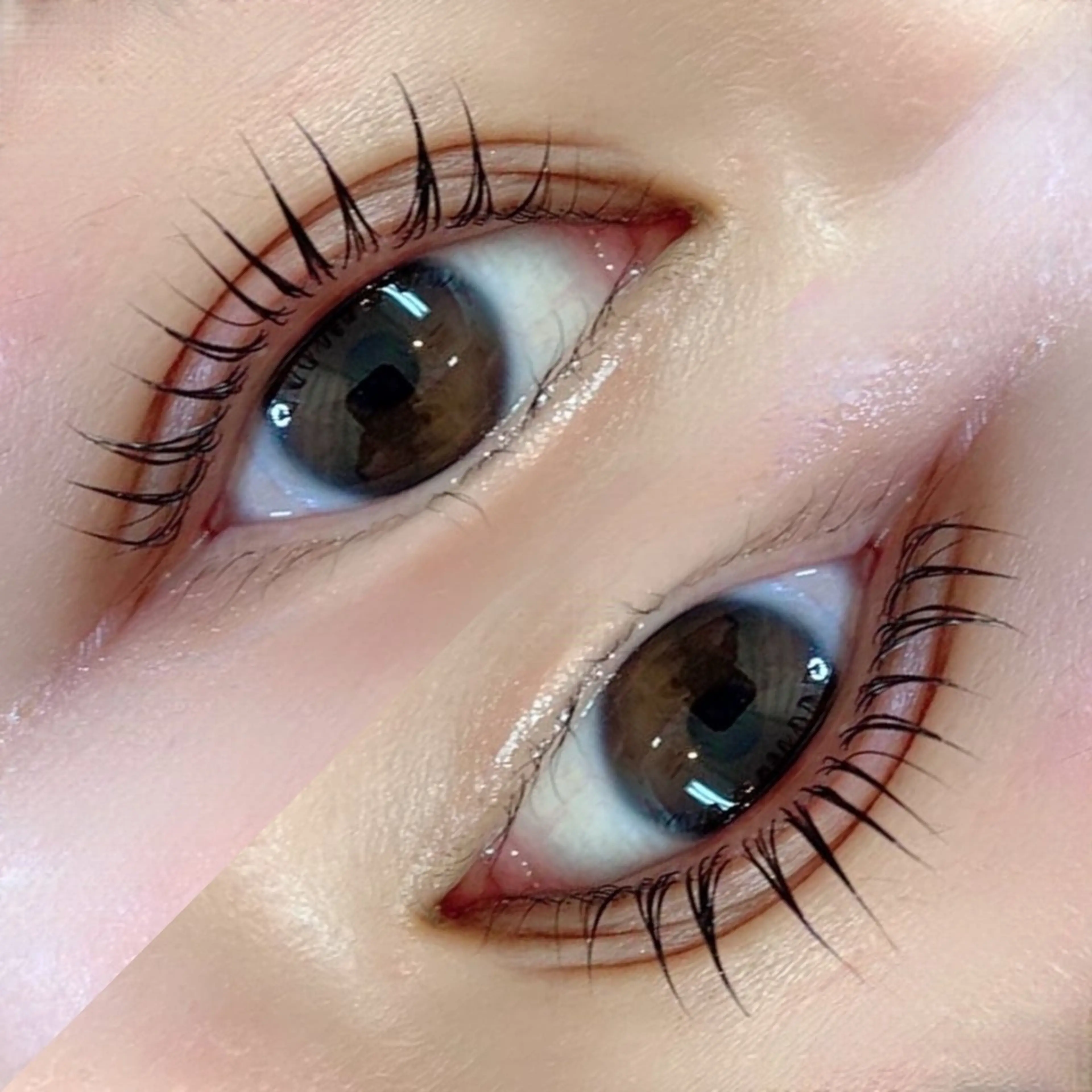 【22​〜​25歳限定クーポン🌷】まつげパーマ🍒¥2200の写真