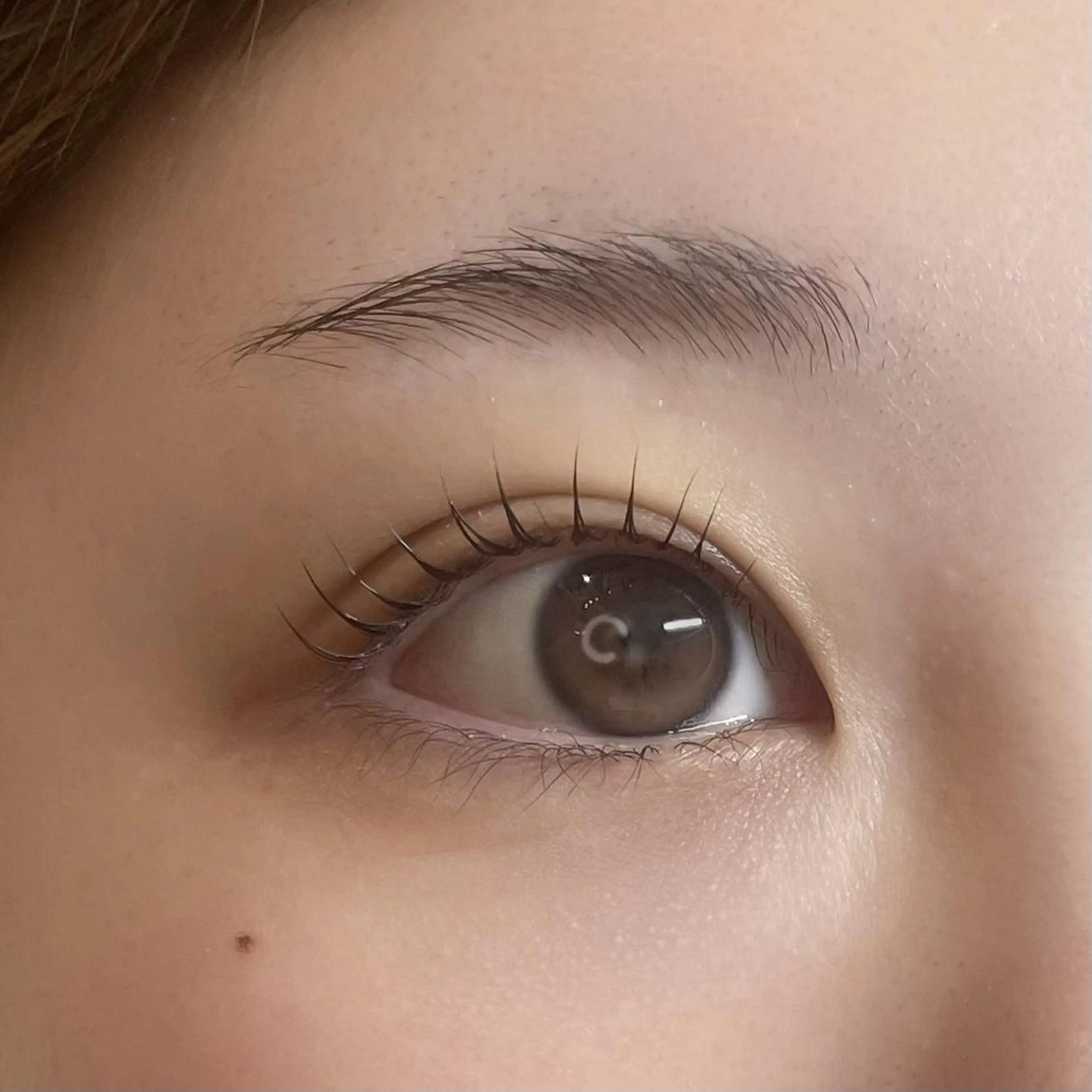 【⚠️人数限定⚠️】まつ毛パーマ無料モデルの写真