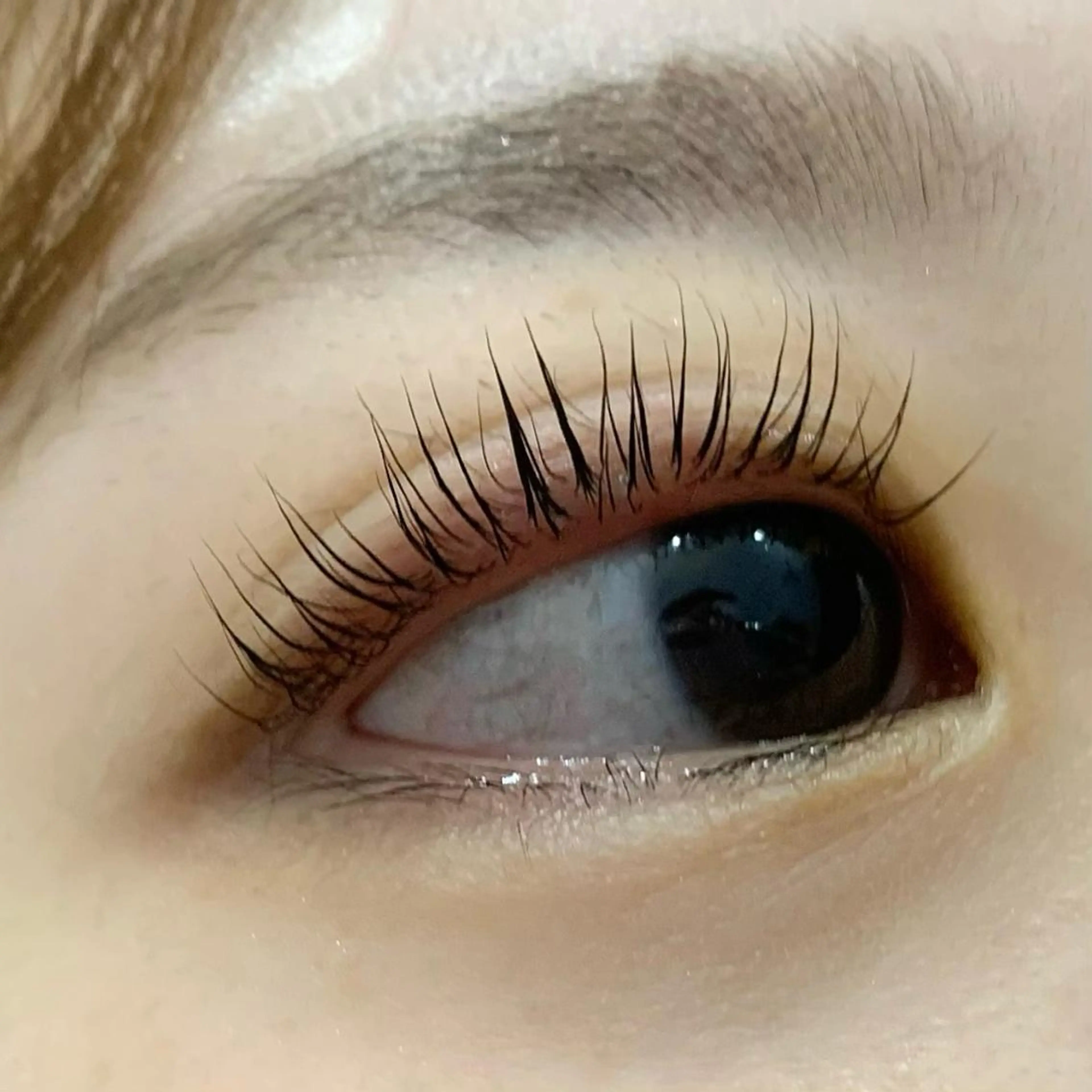 マツエク・マツパ パリジェンヌラッシュリフト Celeste Venus所属・🧸Celeste Venusのマツエク・マツパデザイン