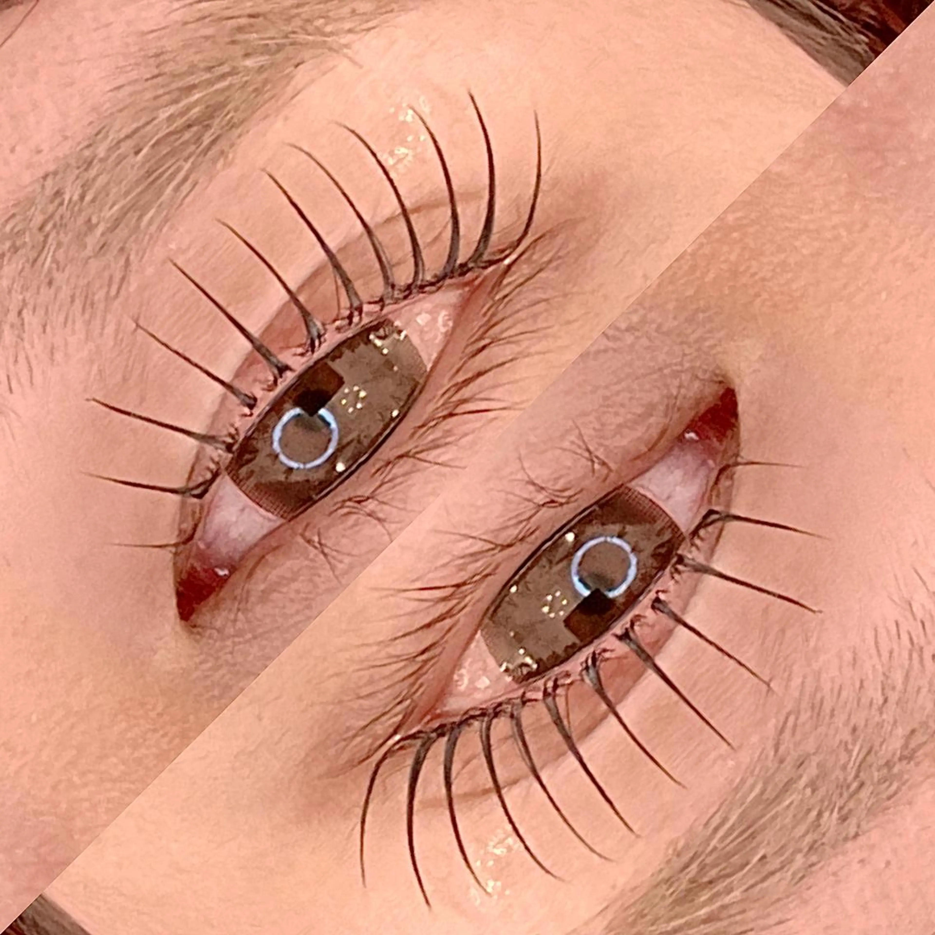 マツエク・マツパ カラーマツエク RoseLash【青山一丁目徒歩1分】表参道所属・パリジェンヌ/まつパ RoseLashのマツエク・マツパデザイン