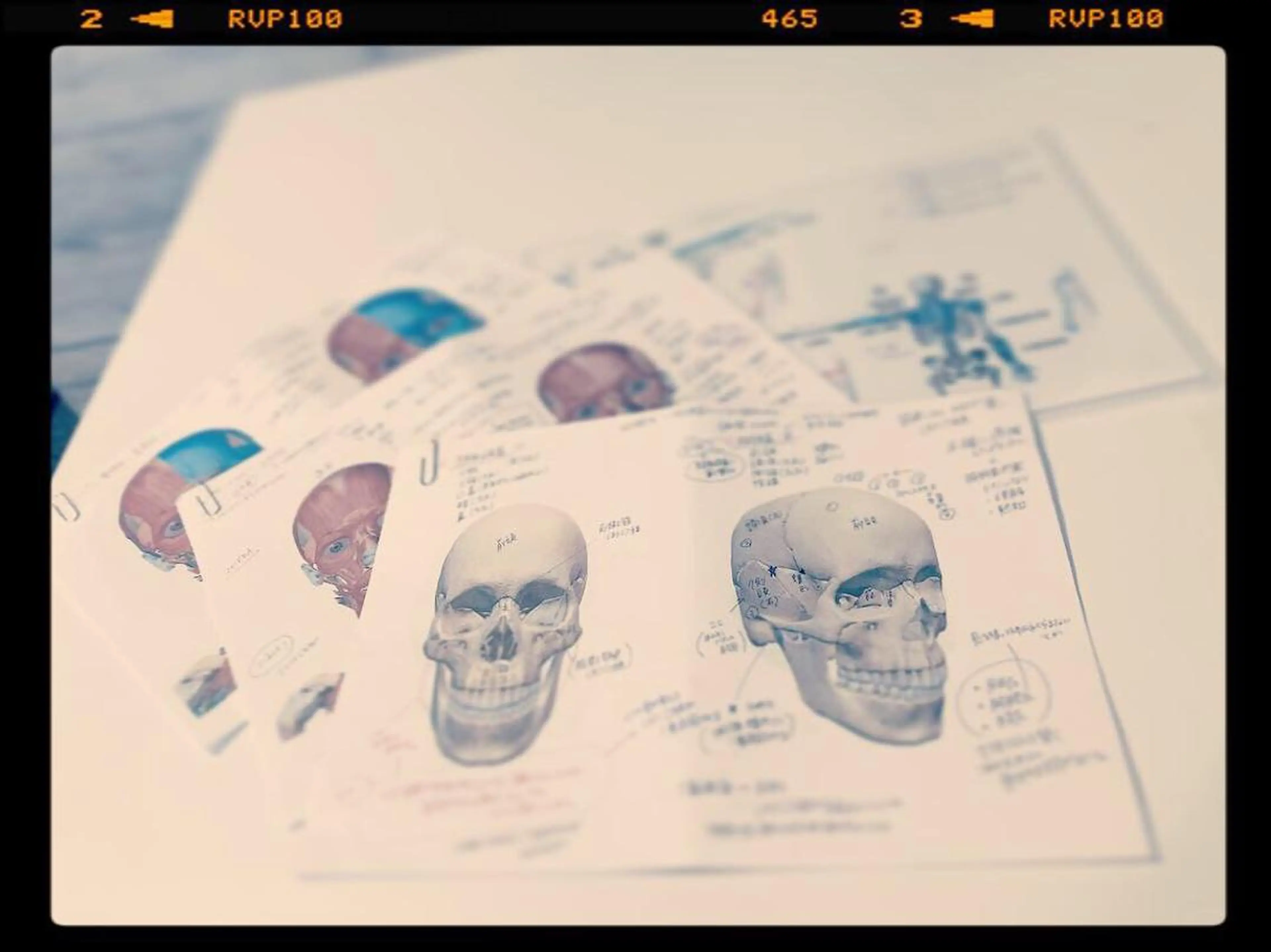 菊地 恵美のエステ・リラクイメージ