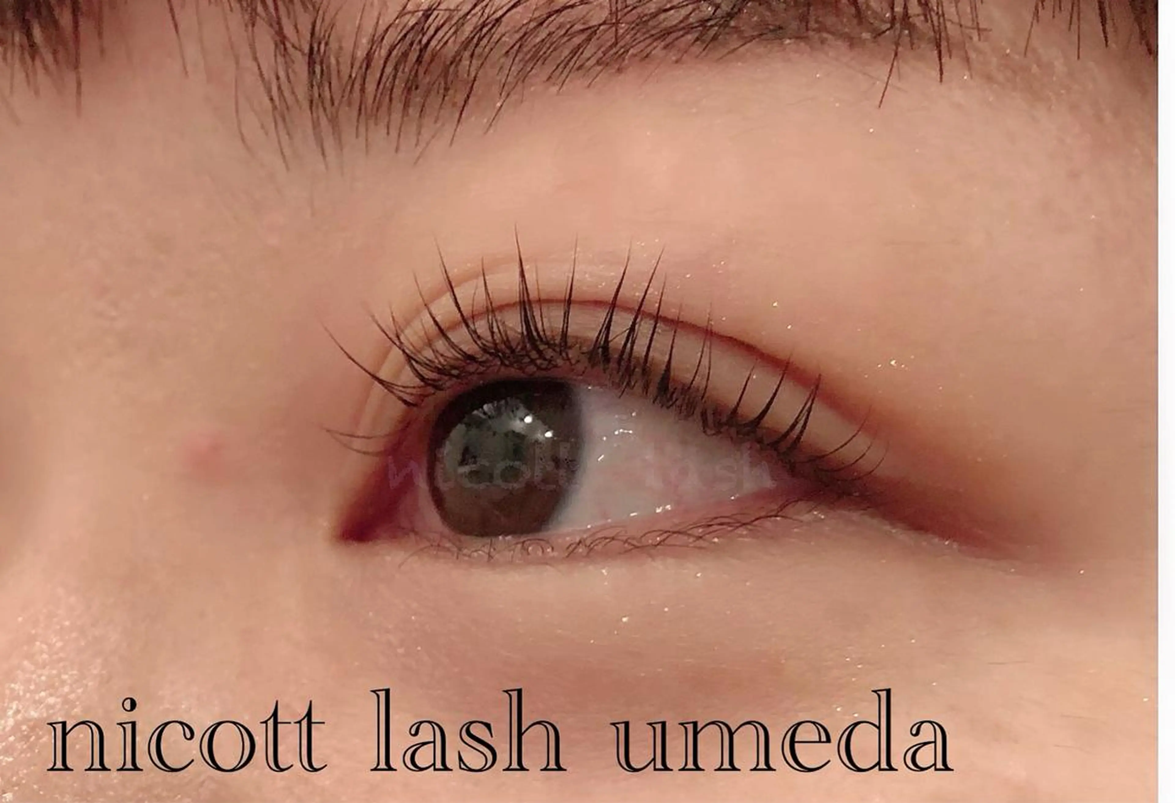 マツエク・マツパ パリジェンヌラッシュリフト サクラブロウ 大阪駅前第4ビルのマツエク・マツパデザイン