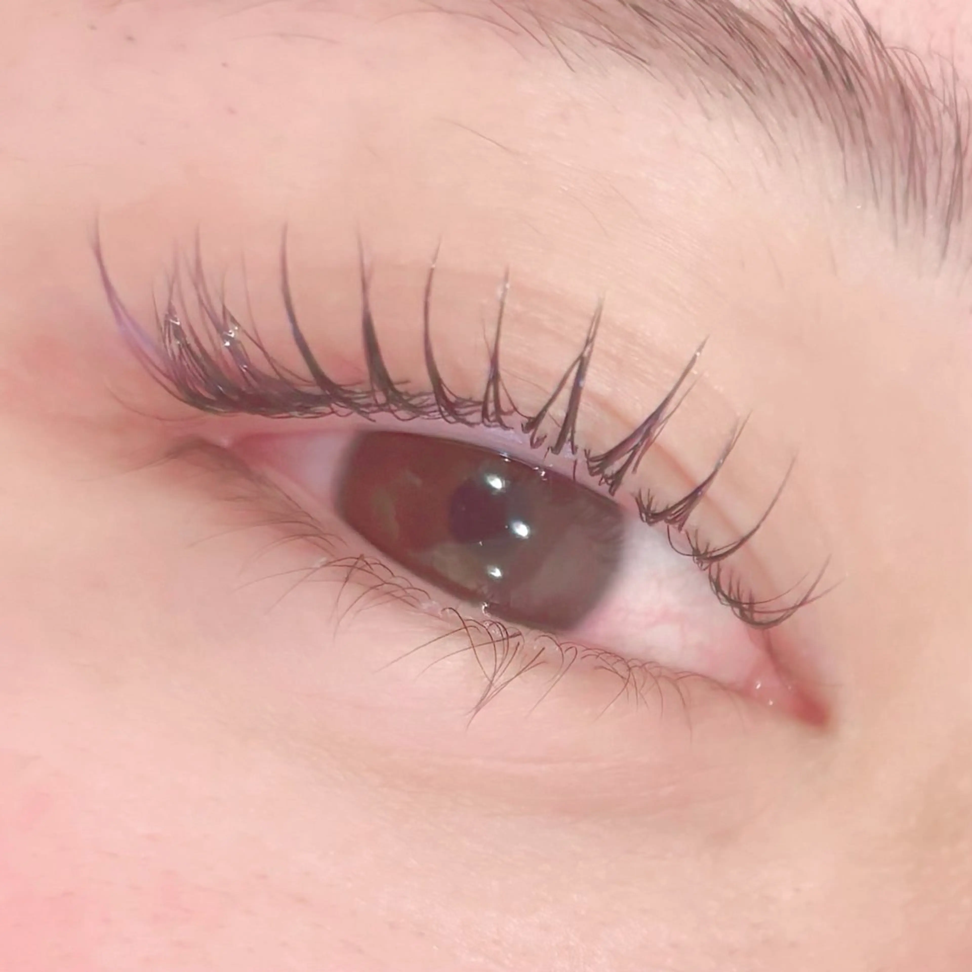 マツエク・マツパ chouchou .柏の葉🤍箭内海咲のマツエク・マツパデザイン