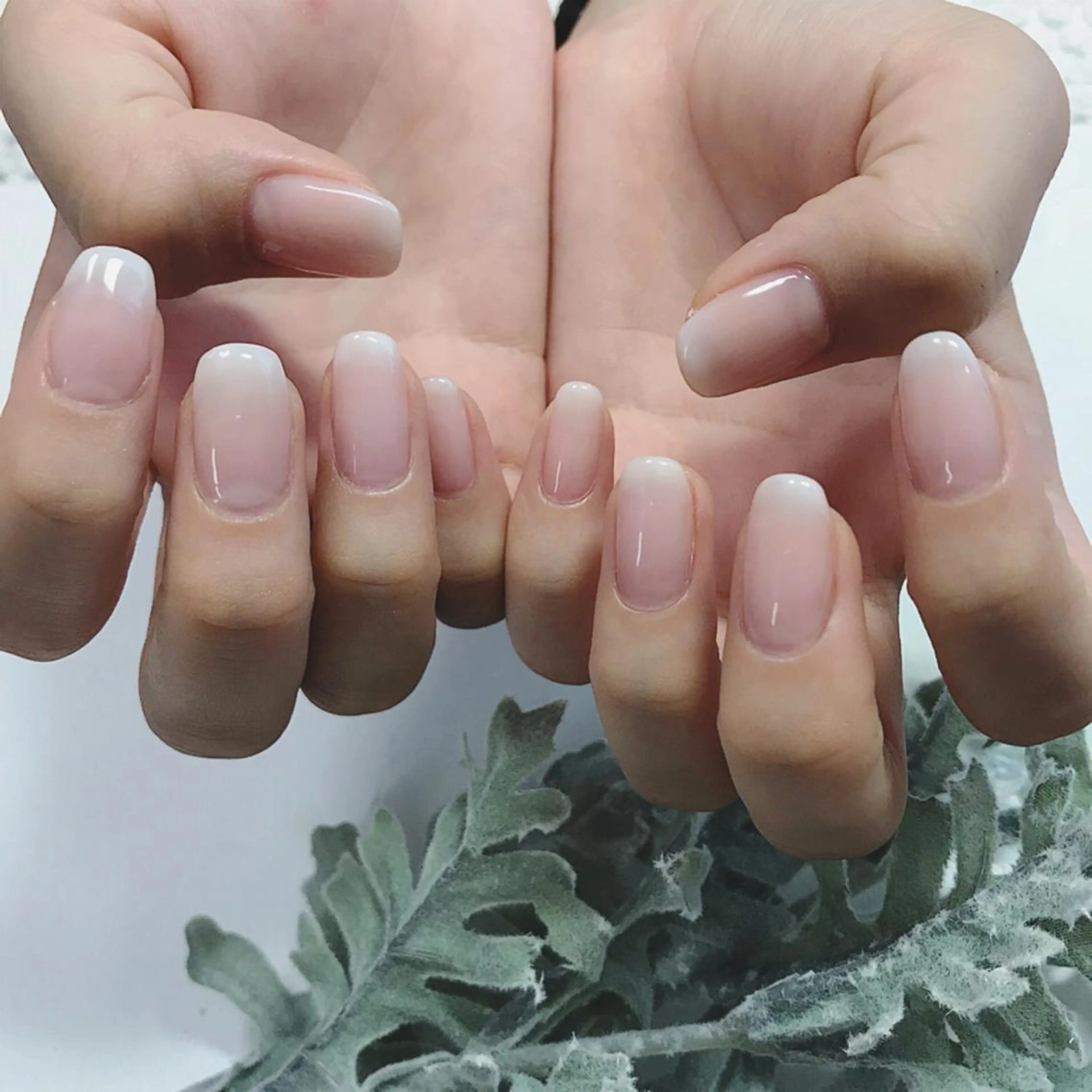 ネイル グラデーション オフィスネイル ピンク スカルプネイル ホワイト Cherirnail kaoriのネイルデザイン