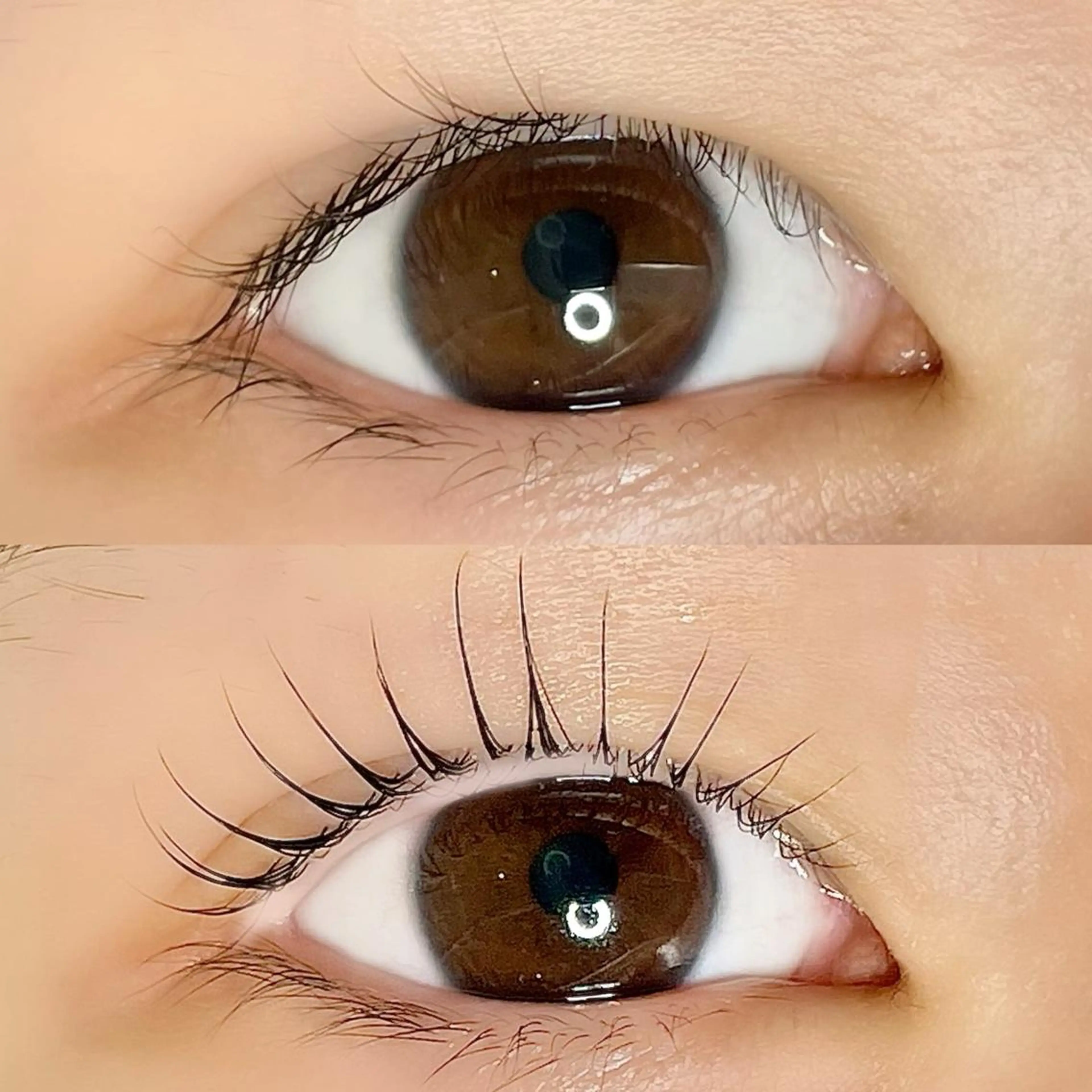 マツエク・マツパ AYLASH🧡 猪又のマツエク・マツパデザイン