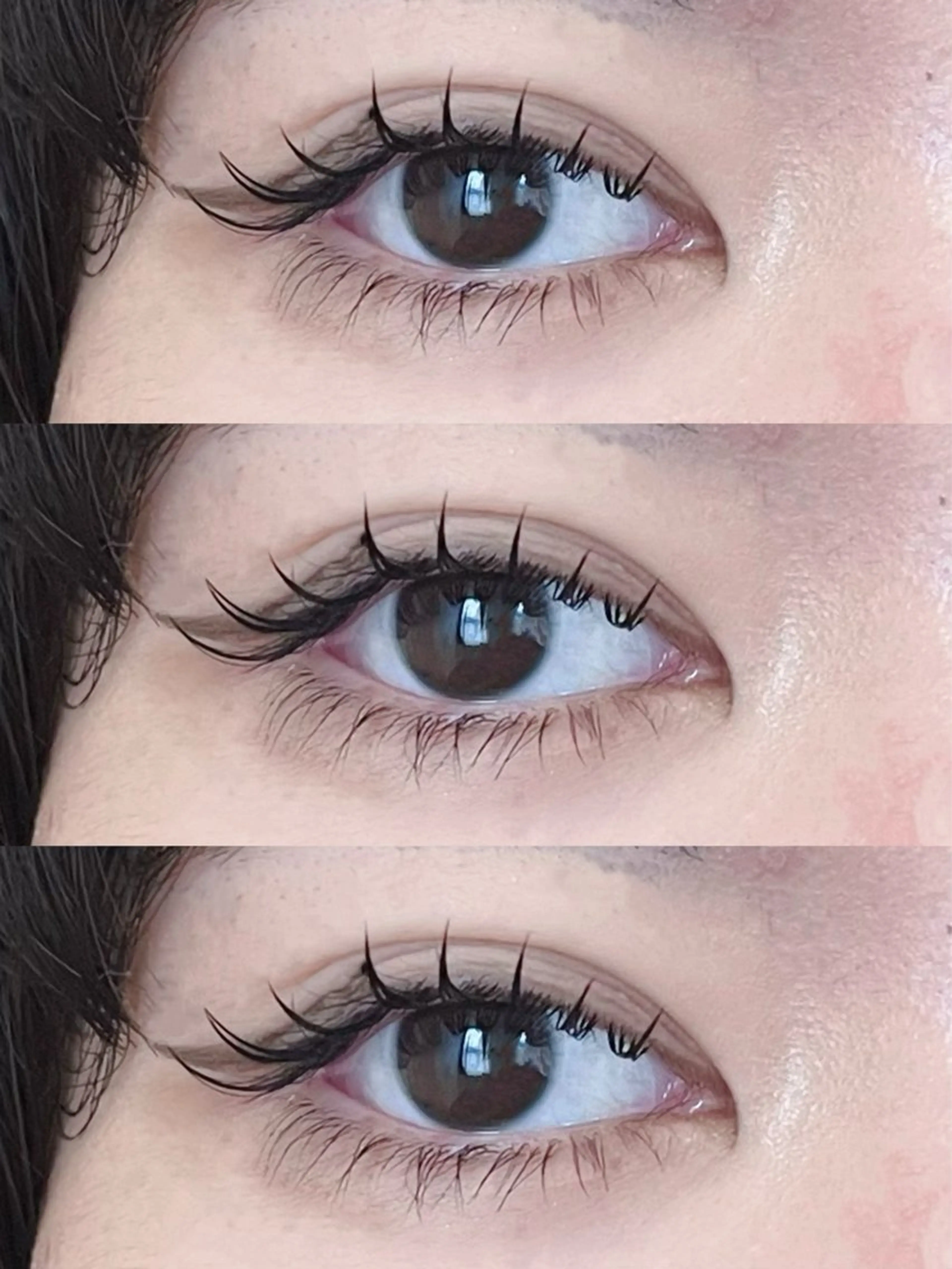 フラットラッシュ　上下付け放題の写真