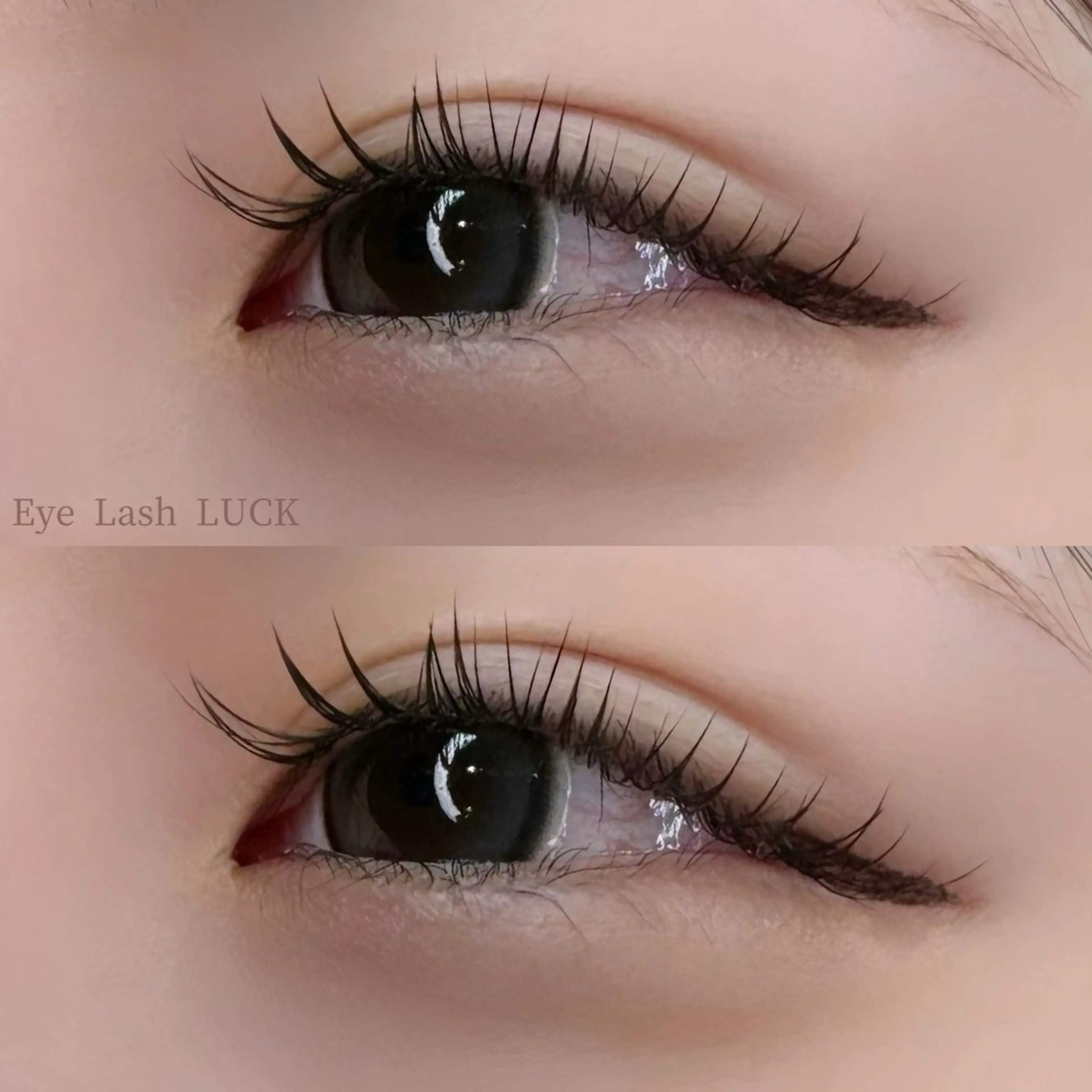 🌿［ コーティング付き ］フラットラッシュ 80本の写真