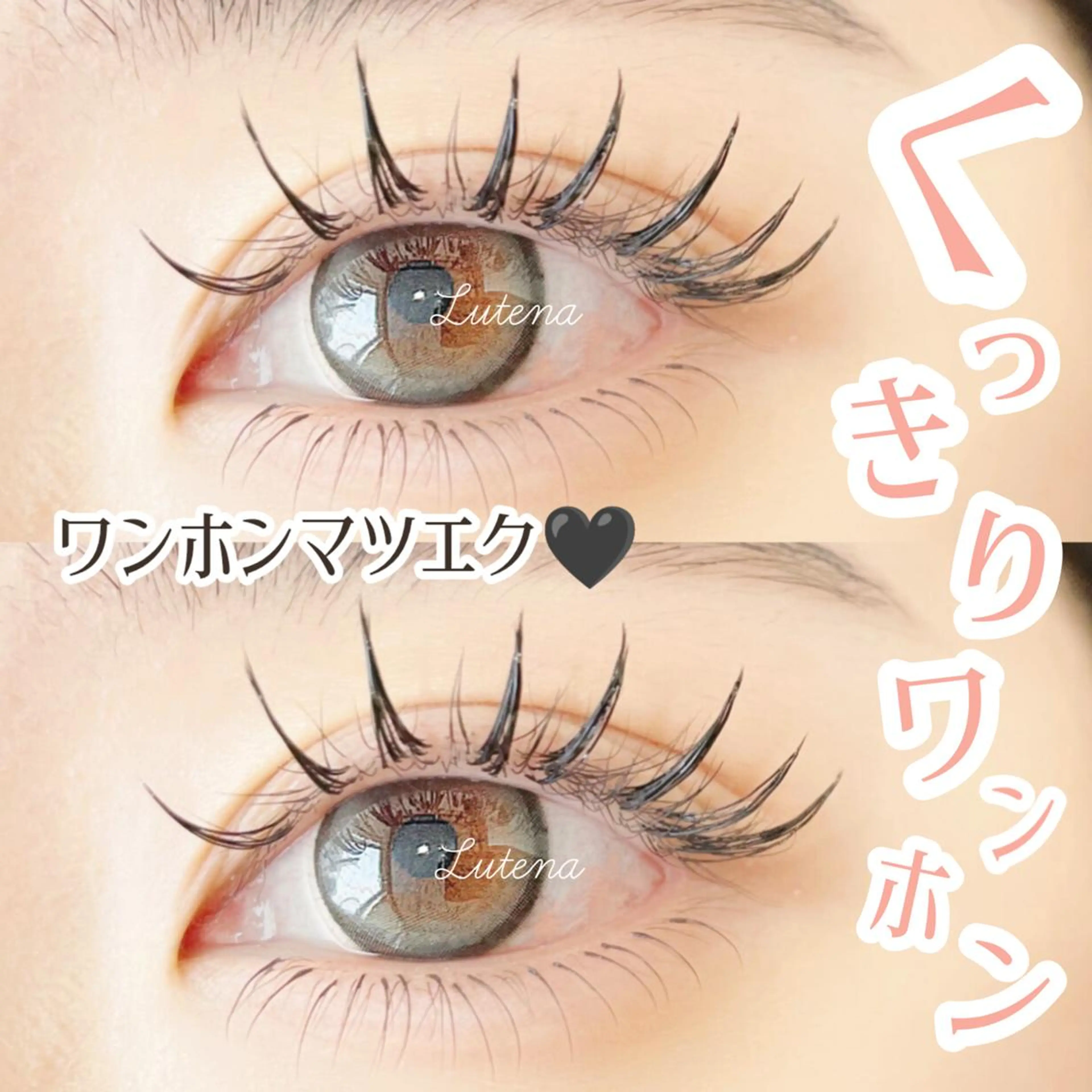 【中華風束感まつげ🌸ワンホンマツエク】¥7150🌟束感強めのくっきりワンホン👀(フラットラッシュ使用)の写真