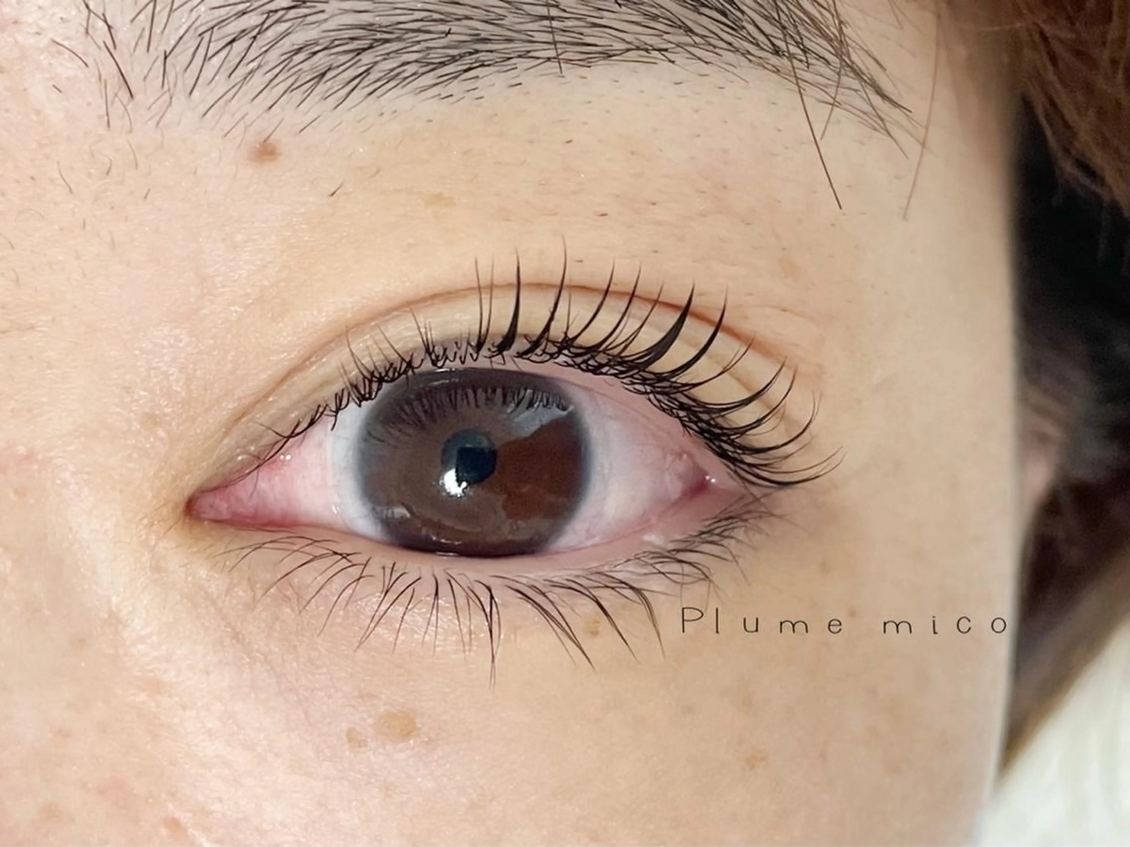 マツエク・マツパ マツパ Plume micoのマツエク・マツパデザイン