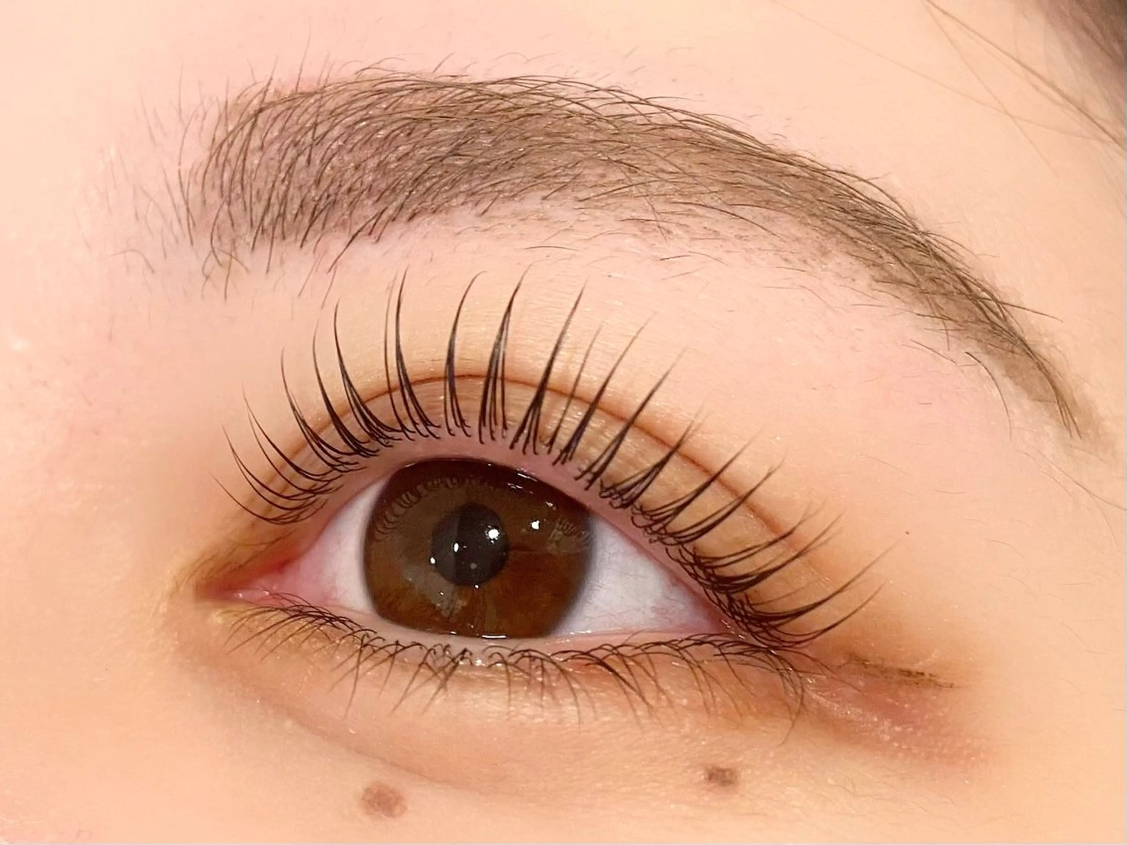 🔰【新規】🐠 上下パーマ🐠パリジェンヌ＋300円（所要時間60分）エクステオフあり➕500円の写真