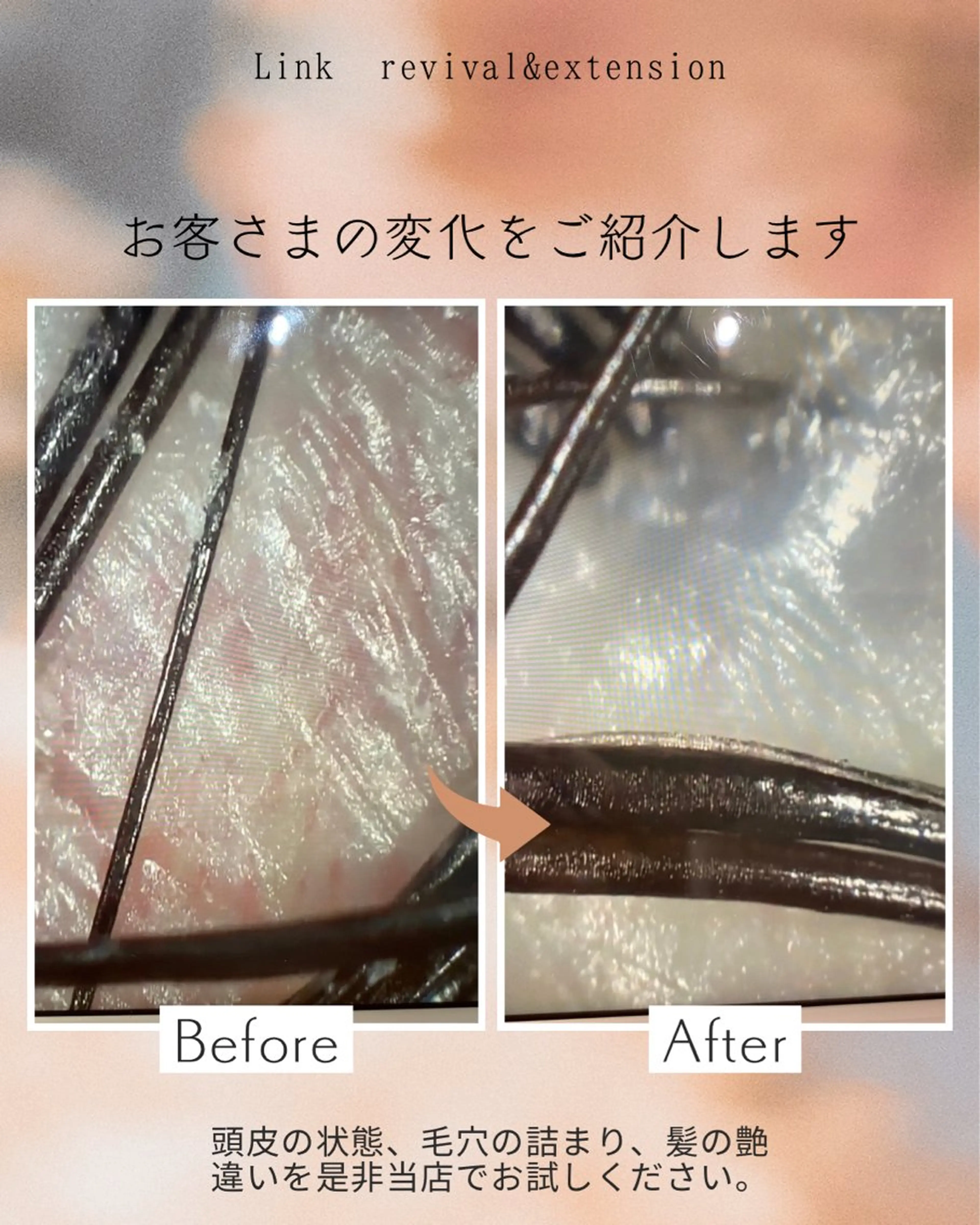 美容と育毛のサロン Link　松浦のマツエク・マツパデザイン