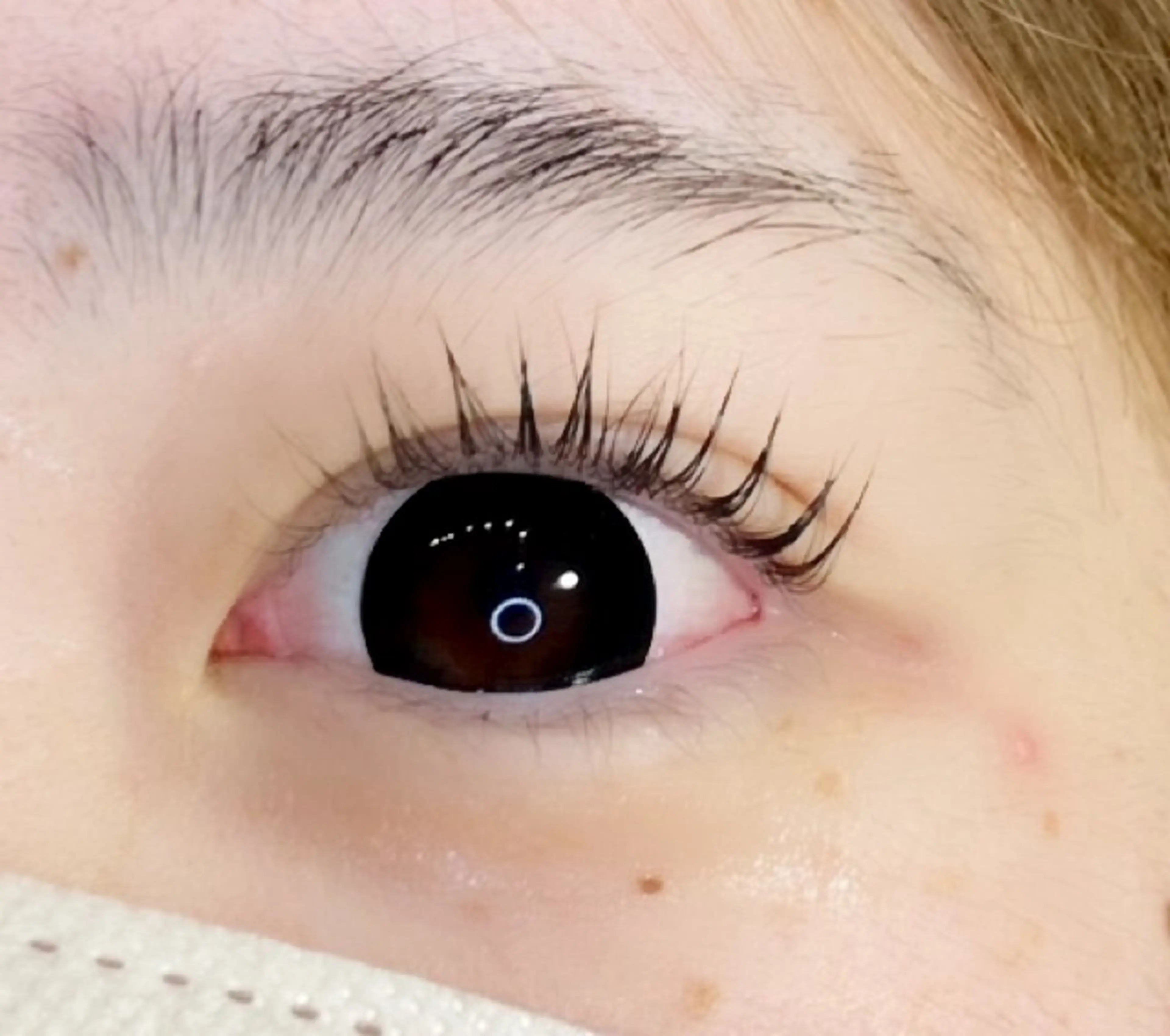 【当日予約】⛄️パリジェンヌ（上）➕下まつげパーマセットの写真