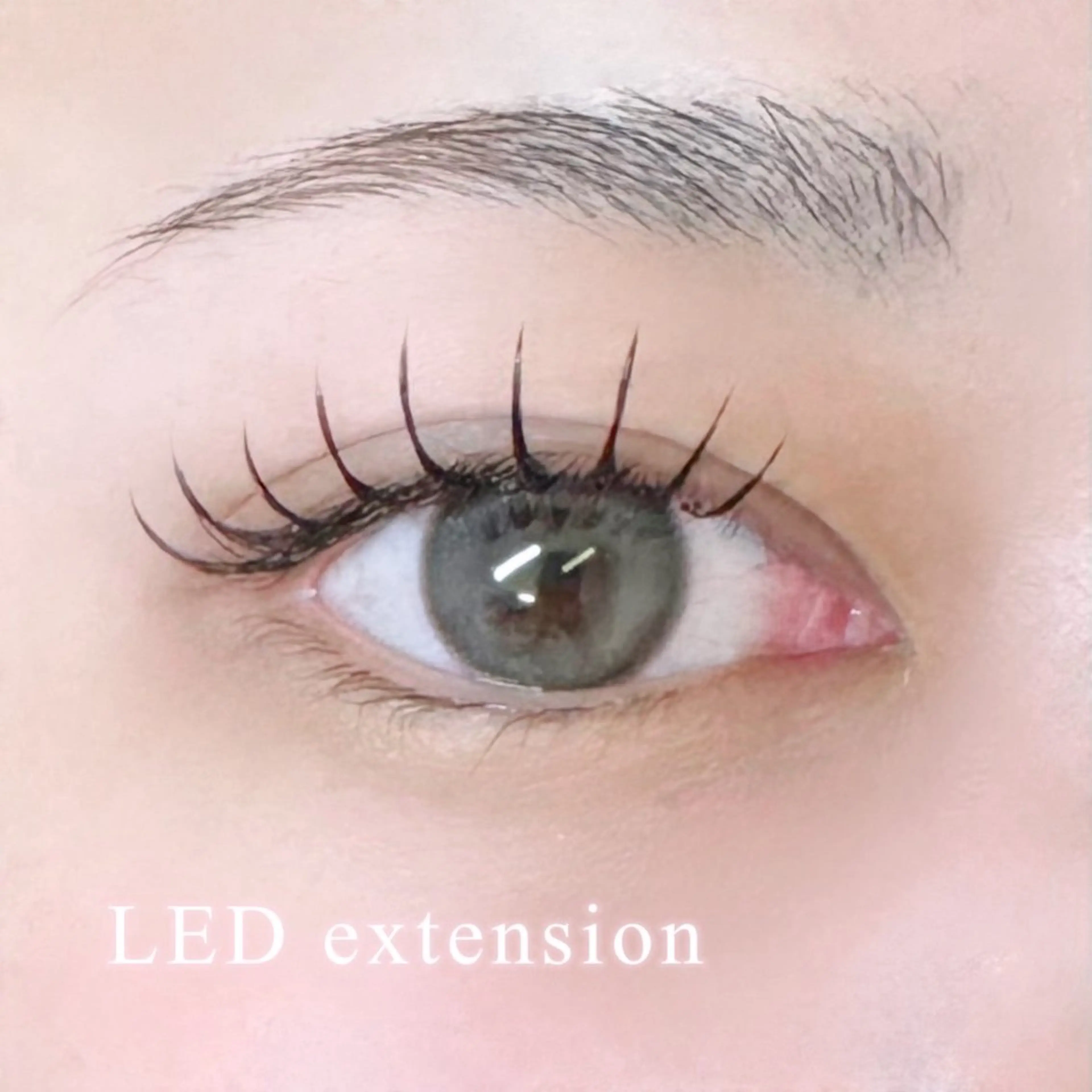 JrスタイリストLEDマツエク120本の写真