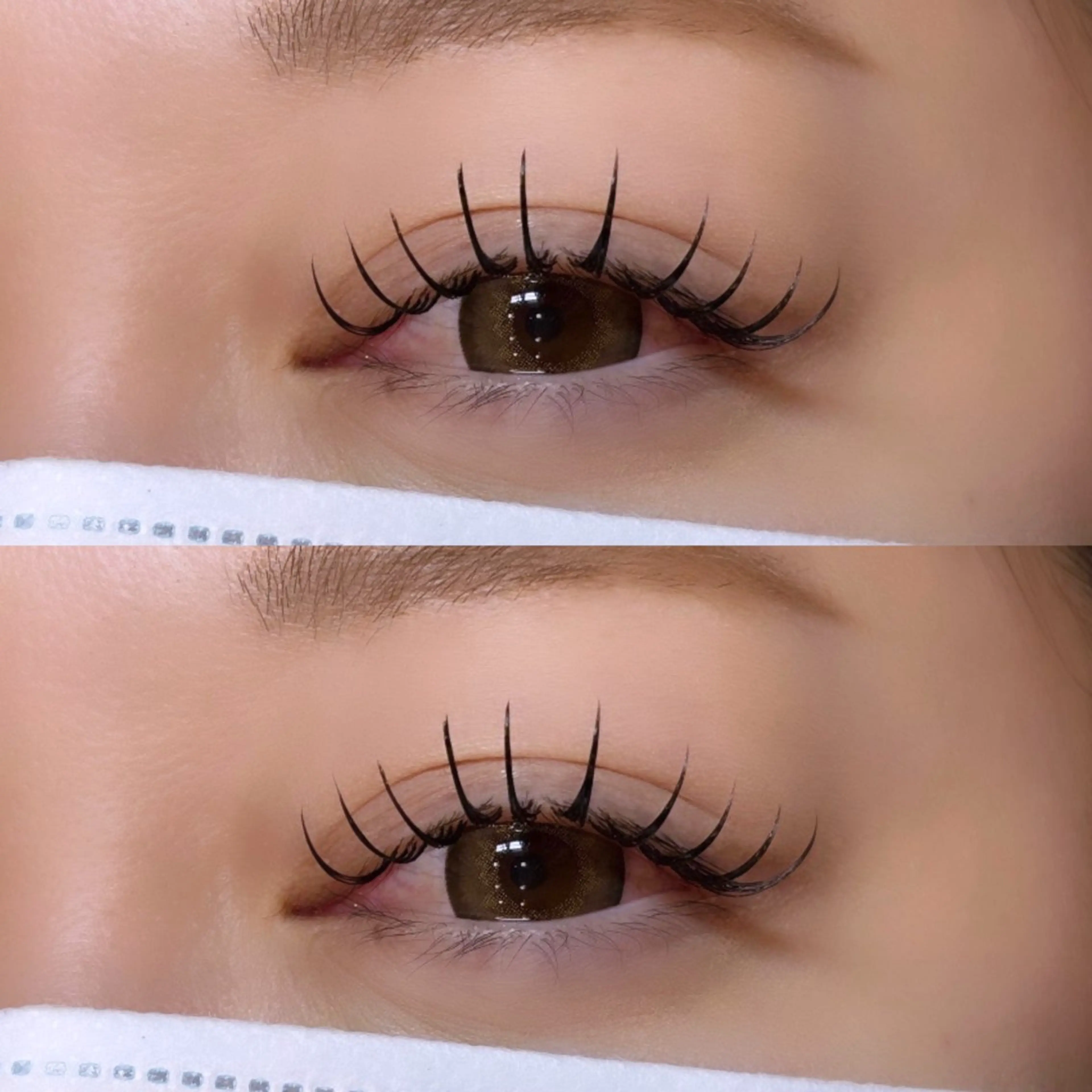 期間限定価格🌟【バインドロック80束】自然な濃さ×もちの良さ🌿の写真