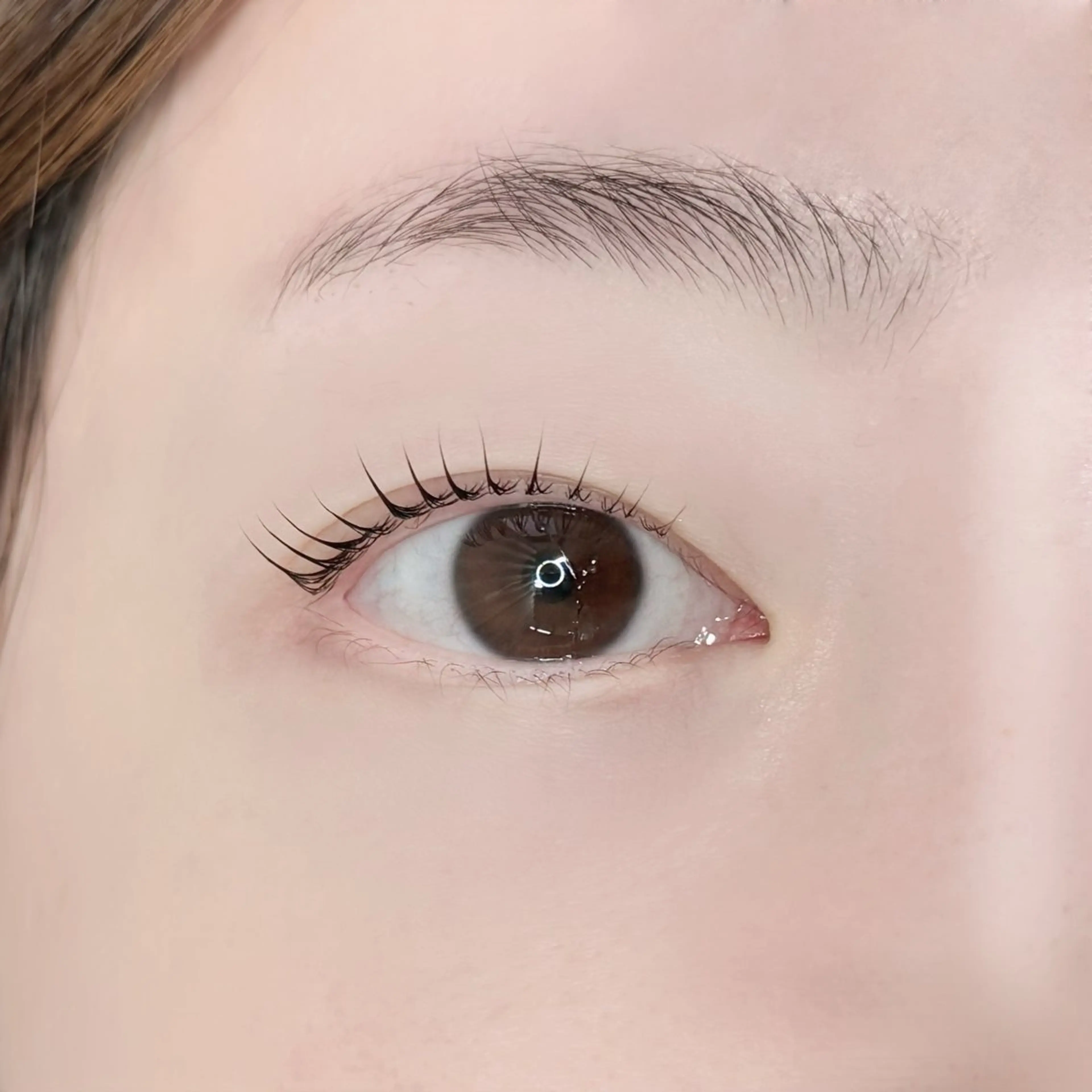 マツエク・マツパ Levia砺波店所属・Levia  砺波店 /noriのマツエク・マツパデザイン