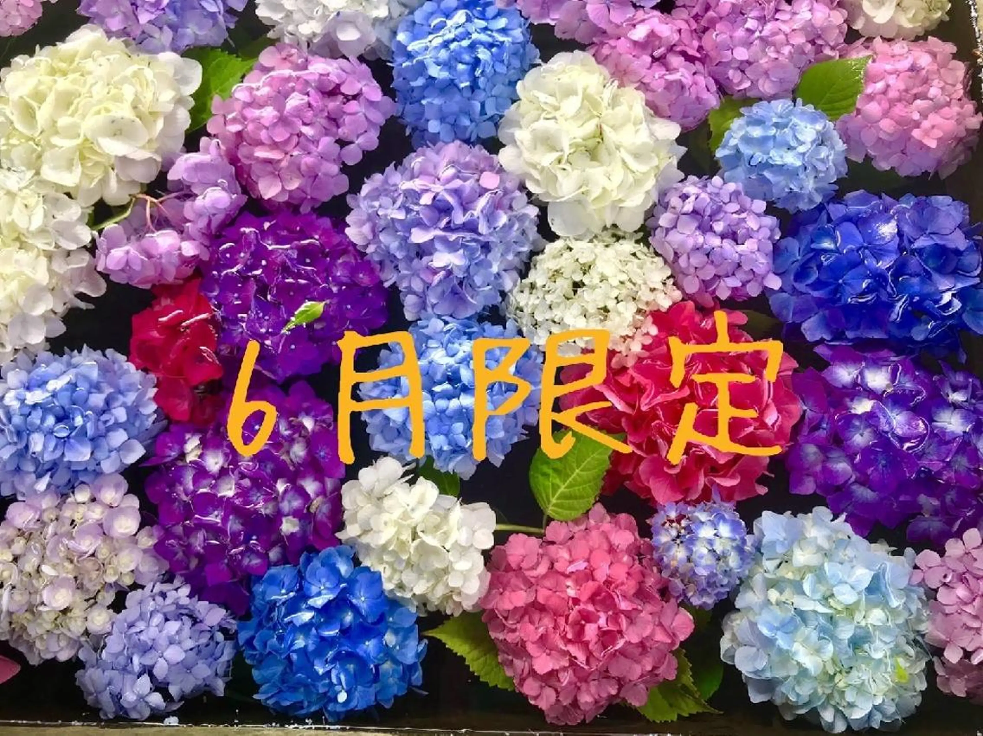 🍒当日もOK🍒 𝑳𝑼𝑵𝑨花井のネイルデザイン