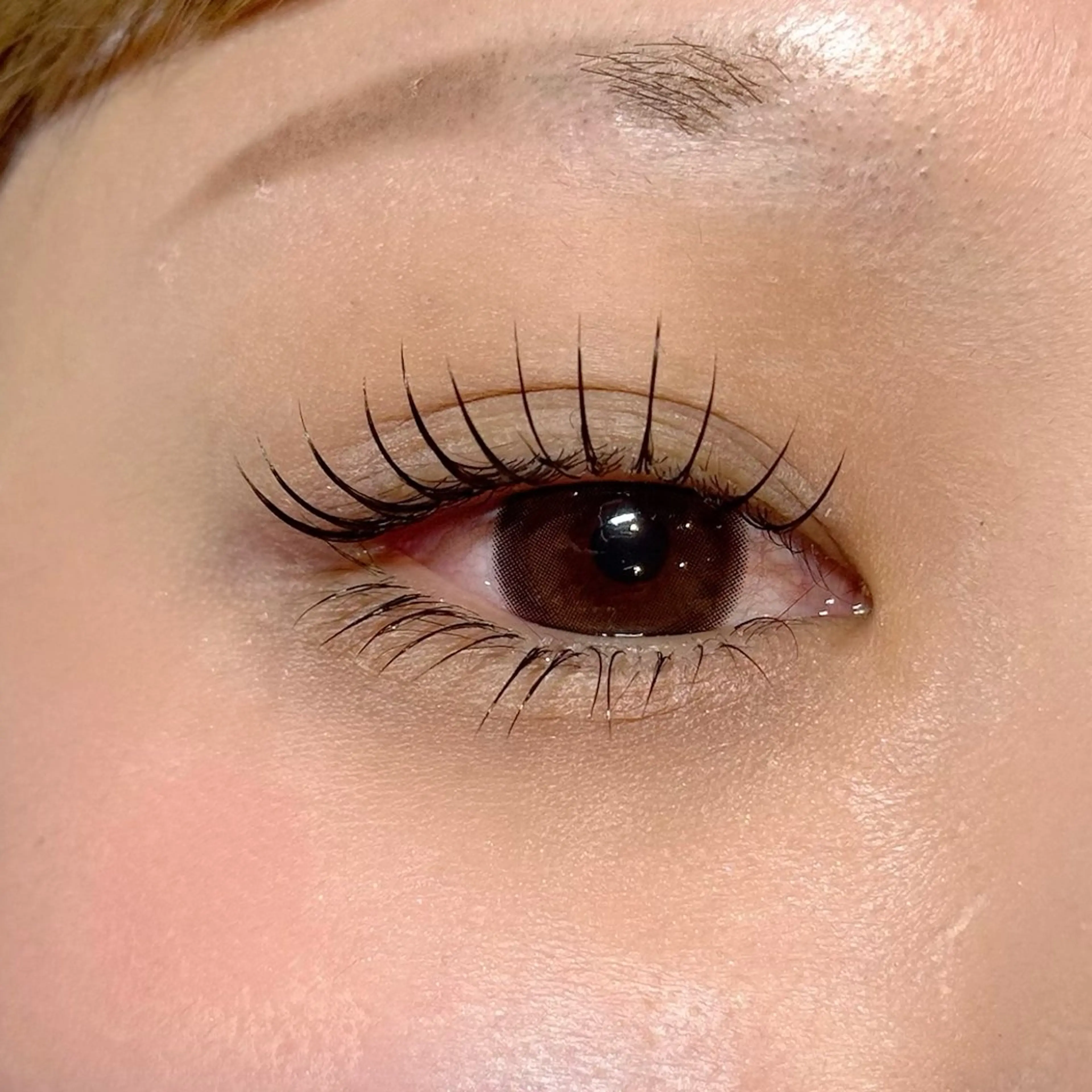 マツエク・マツパ マツエク lash & brow PORTE269所属・PORTE269🦋 Maika.のマツエク・マツパデザイン