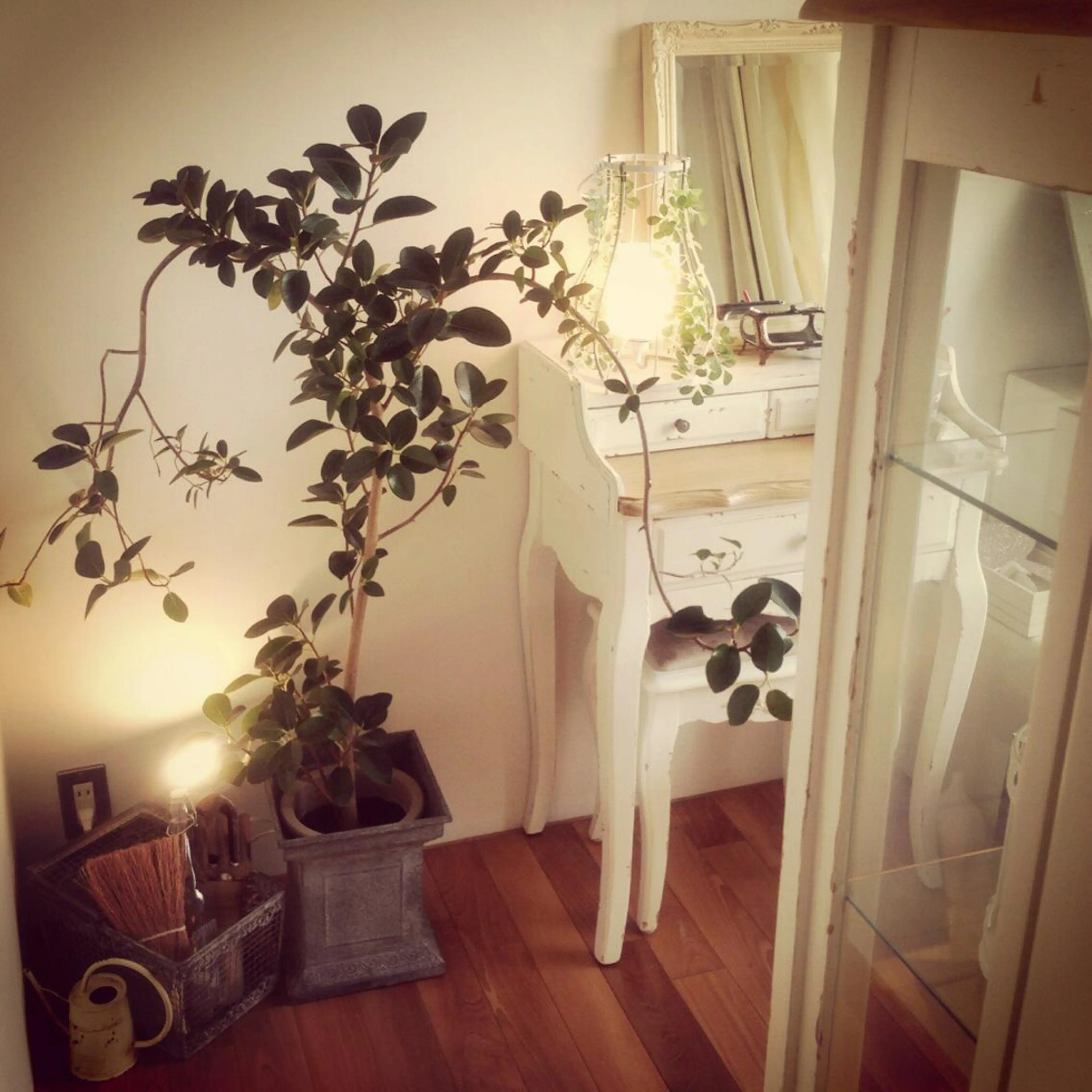 マツエク・マツパ La moda. 自由が丘店のマツエク・マツパデザイン