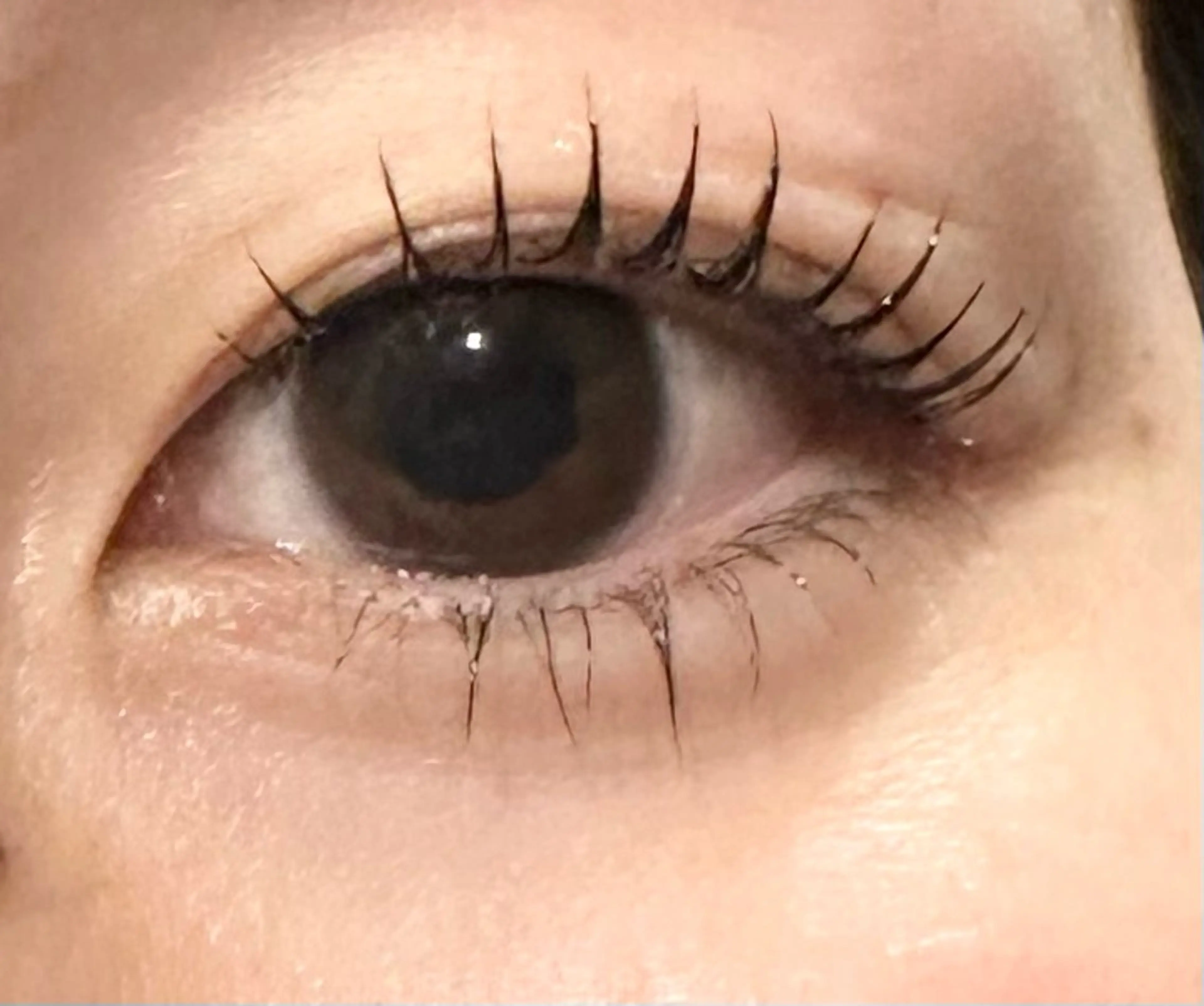 マツエク・マツパ dearbeauty plusのマツエク・マツパデザイン