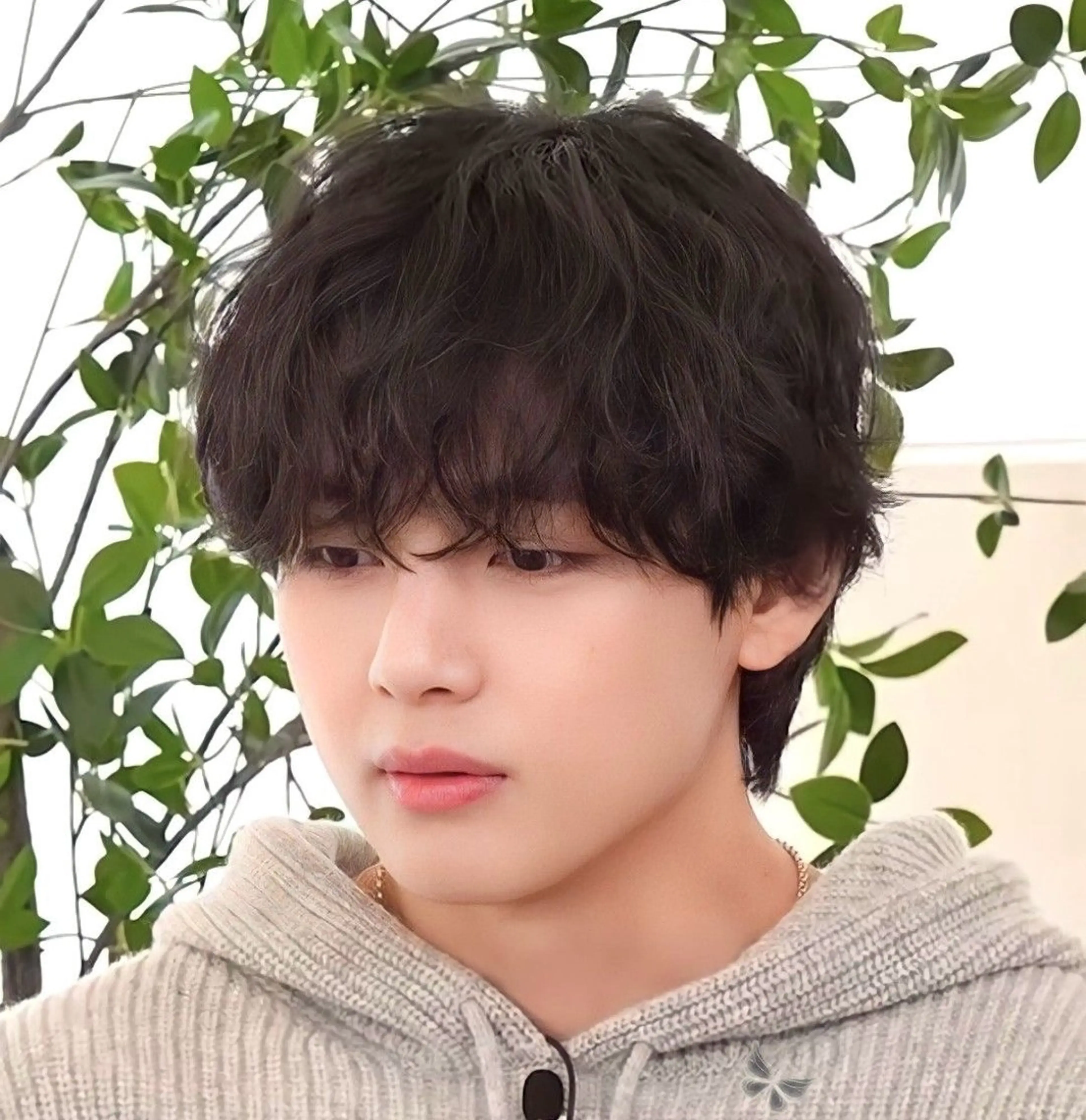 ショート パーマ メンズ カット パーマ SKILL MiNam所属・大島 航汰のヘアスタイル