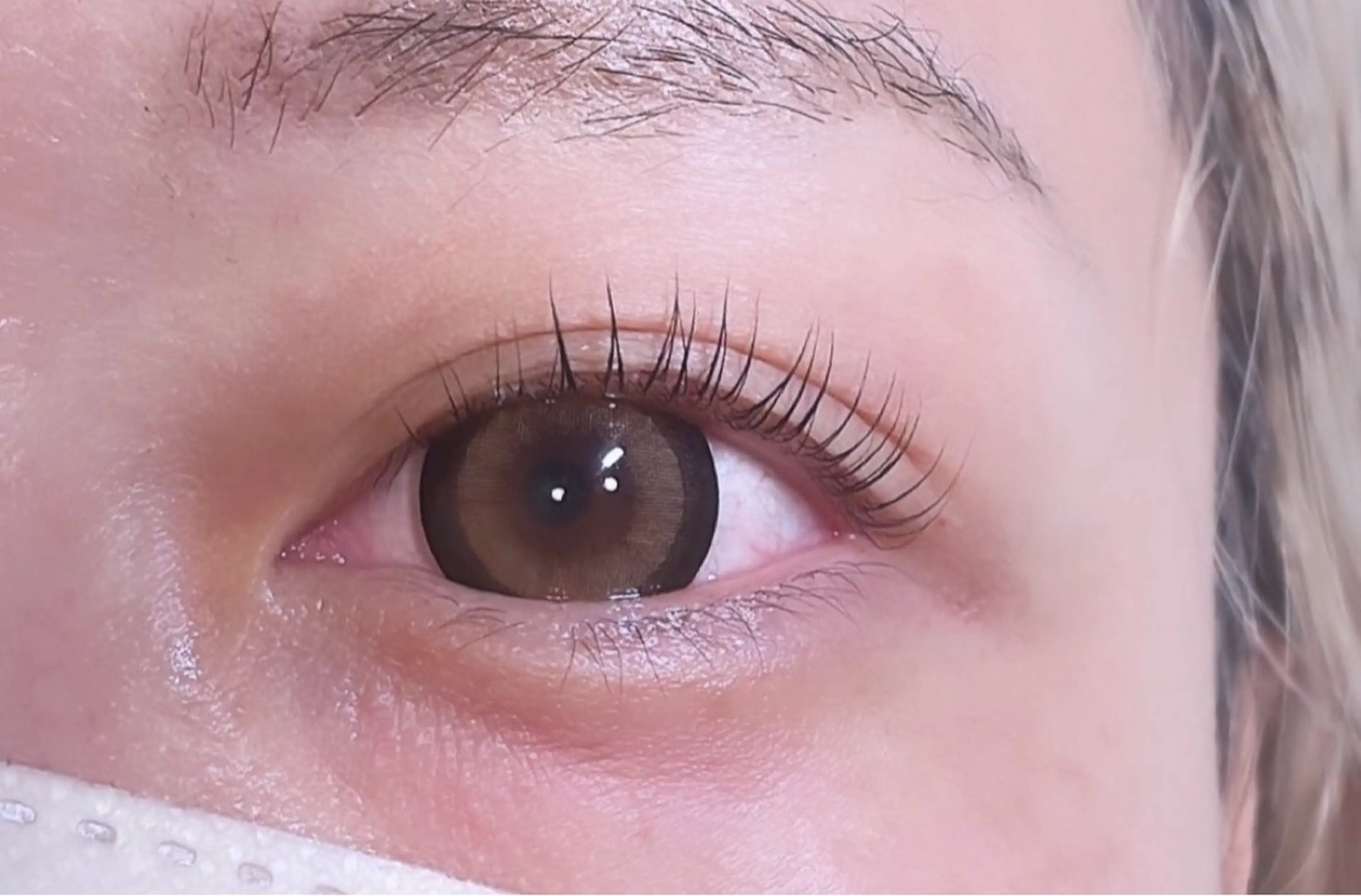 マツエク・マツパ kawaiiyasan-matsuge to iroiro-所属・kawaiiya sanのマツエク・マツパデザイン