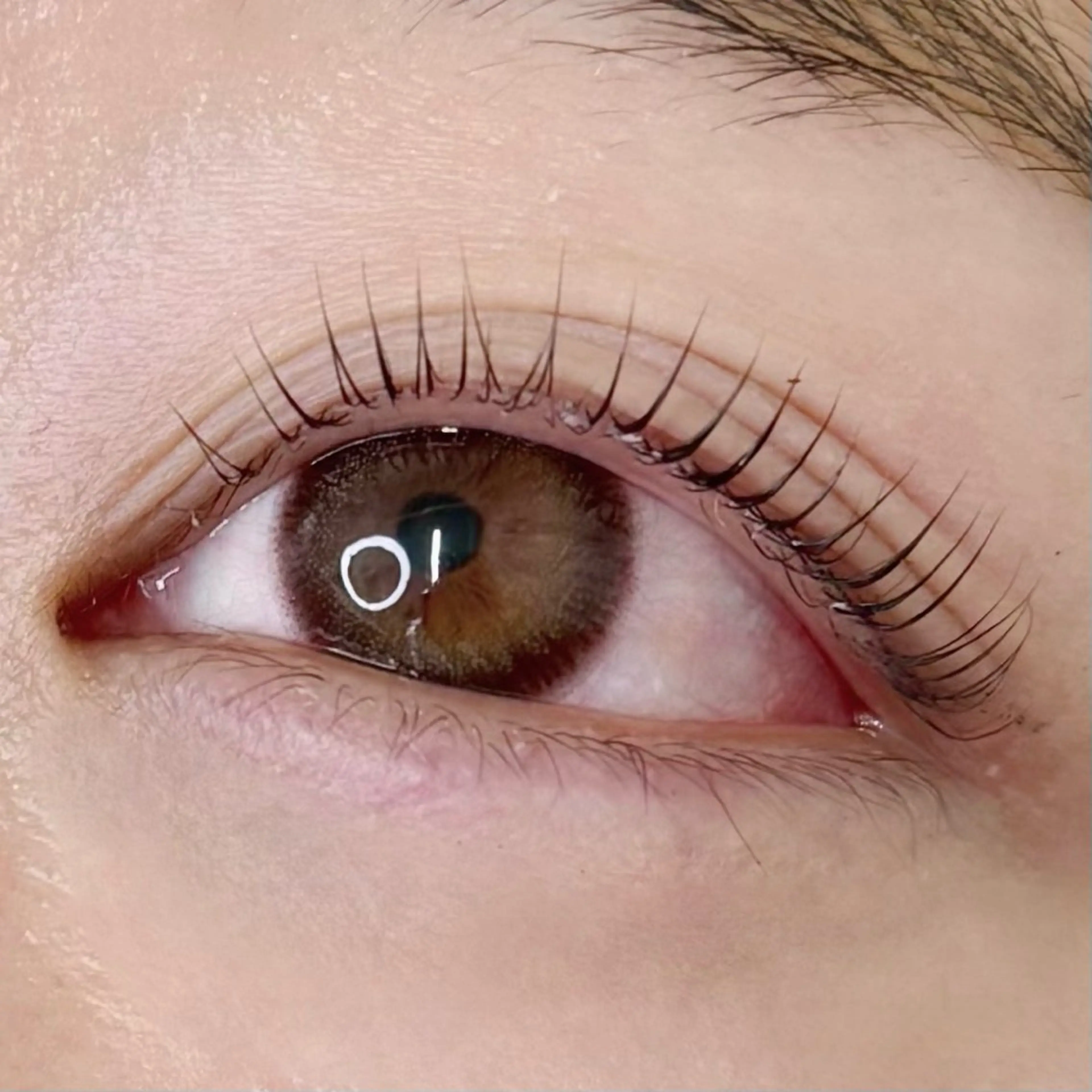 マツエク・マツパ マツパ y'sbeauty所属・梶原 麻優のマツエク・マツパデザイン