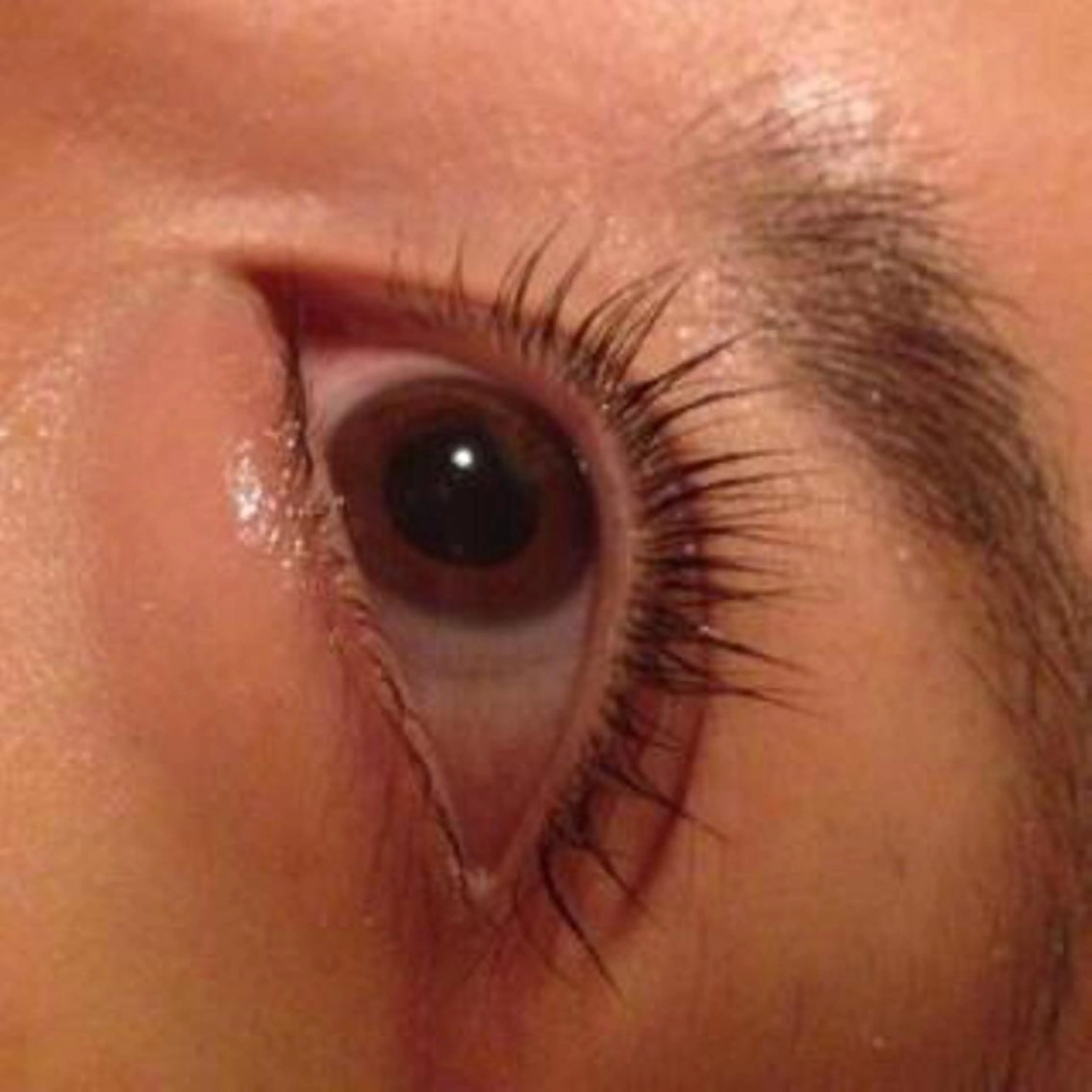 （初回）漢方温熱まつげパーマ上+目元コラーゲンパック高密度3stepリペアトリートメント長持ち形状記憶の写真