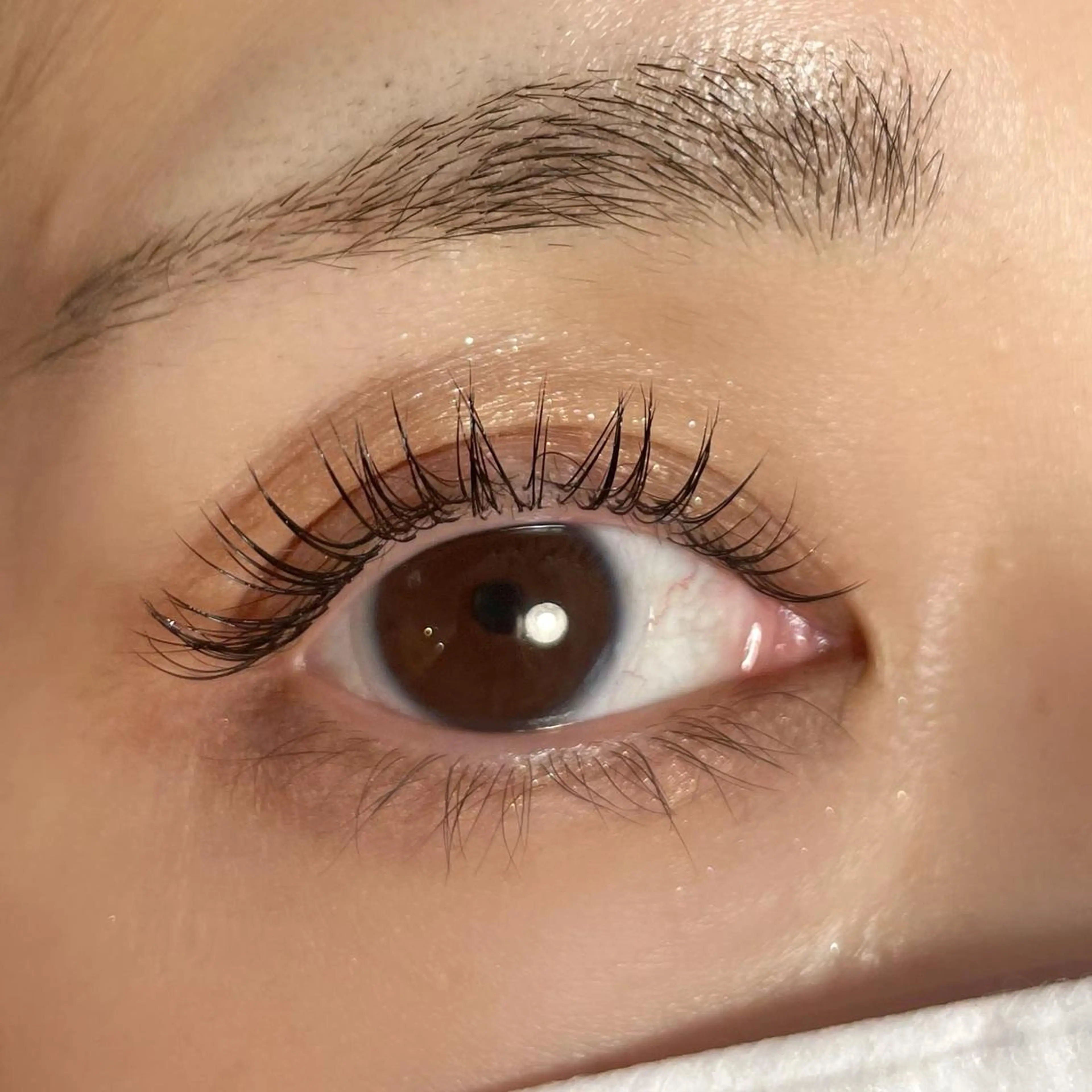 マツエク・マツパ Lucia 清澤のマツエク・マツパデザイン