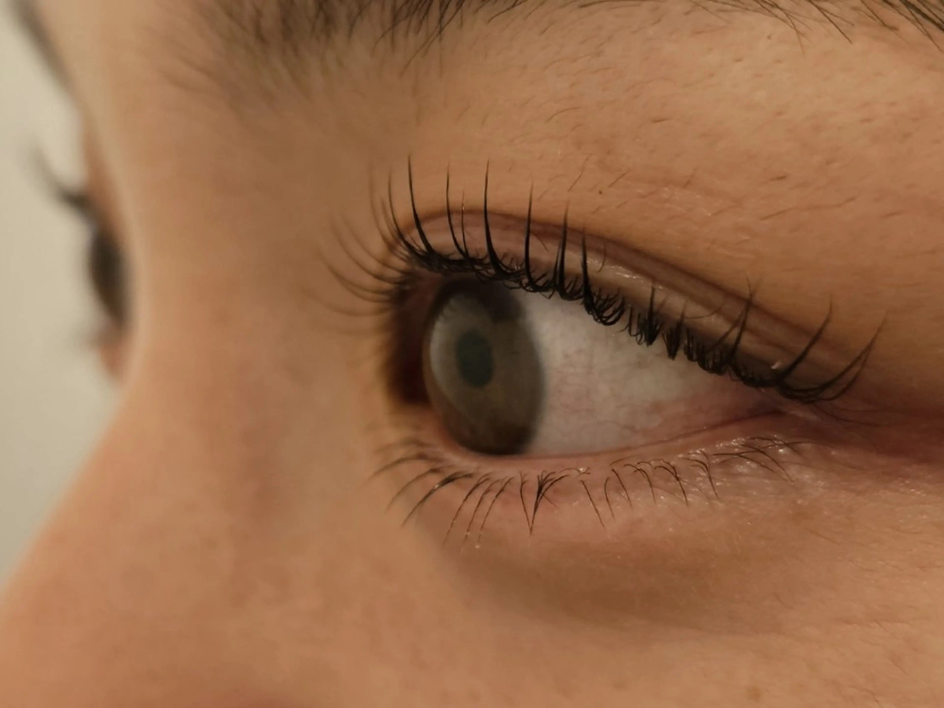 【3回目以降の方】上下まつ毛パーマ(トリートメントケア付き♪)の写真