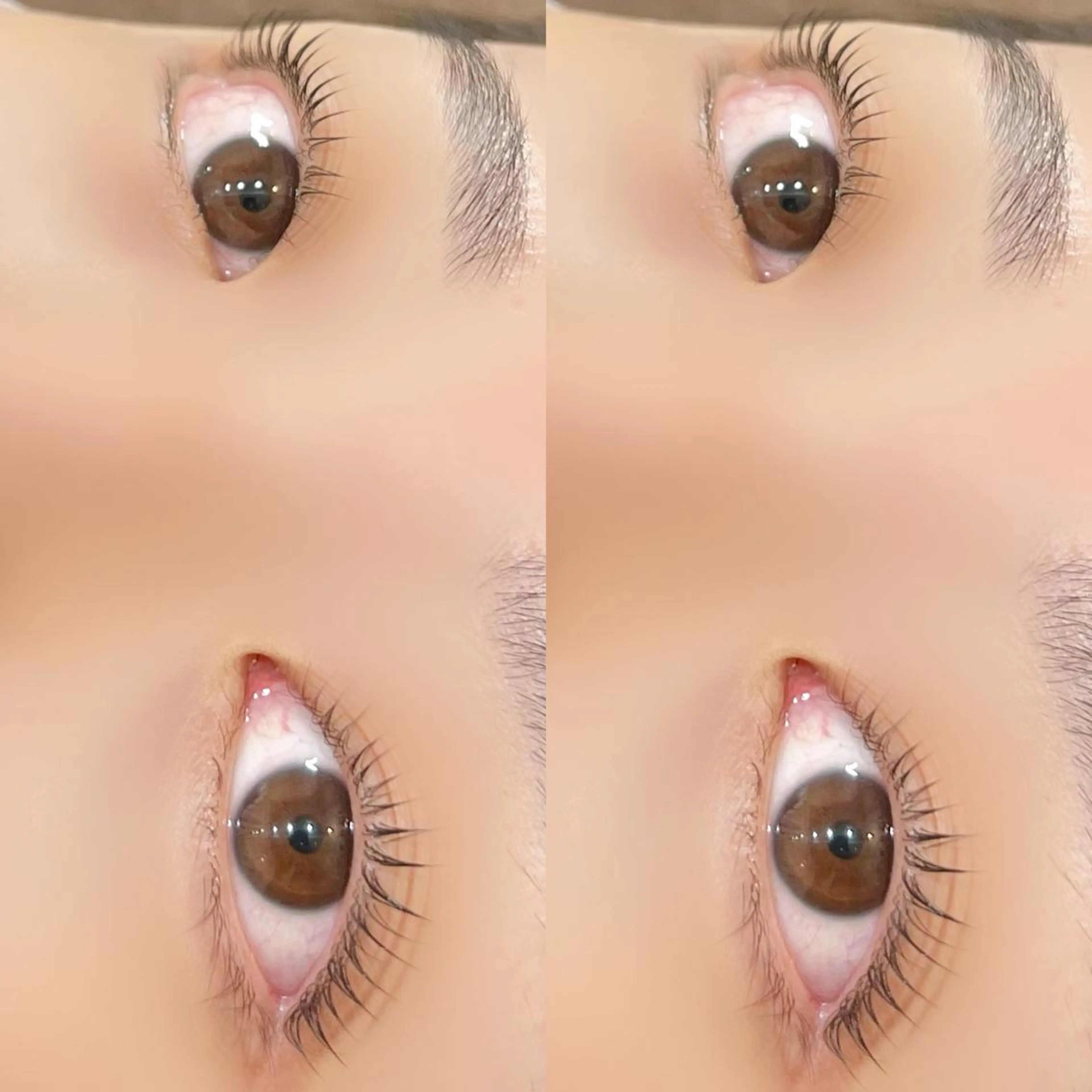 マツエク・マツパ パリジェンヌラッシュリフト マツパ 【myonsil】 Suzuki*のマツエク・マツパデザイン