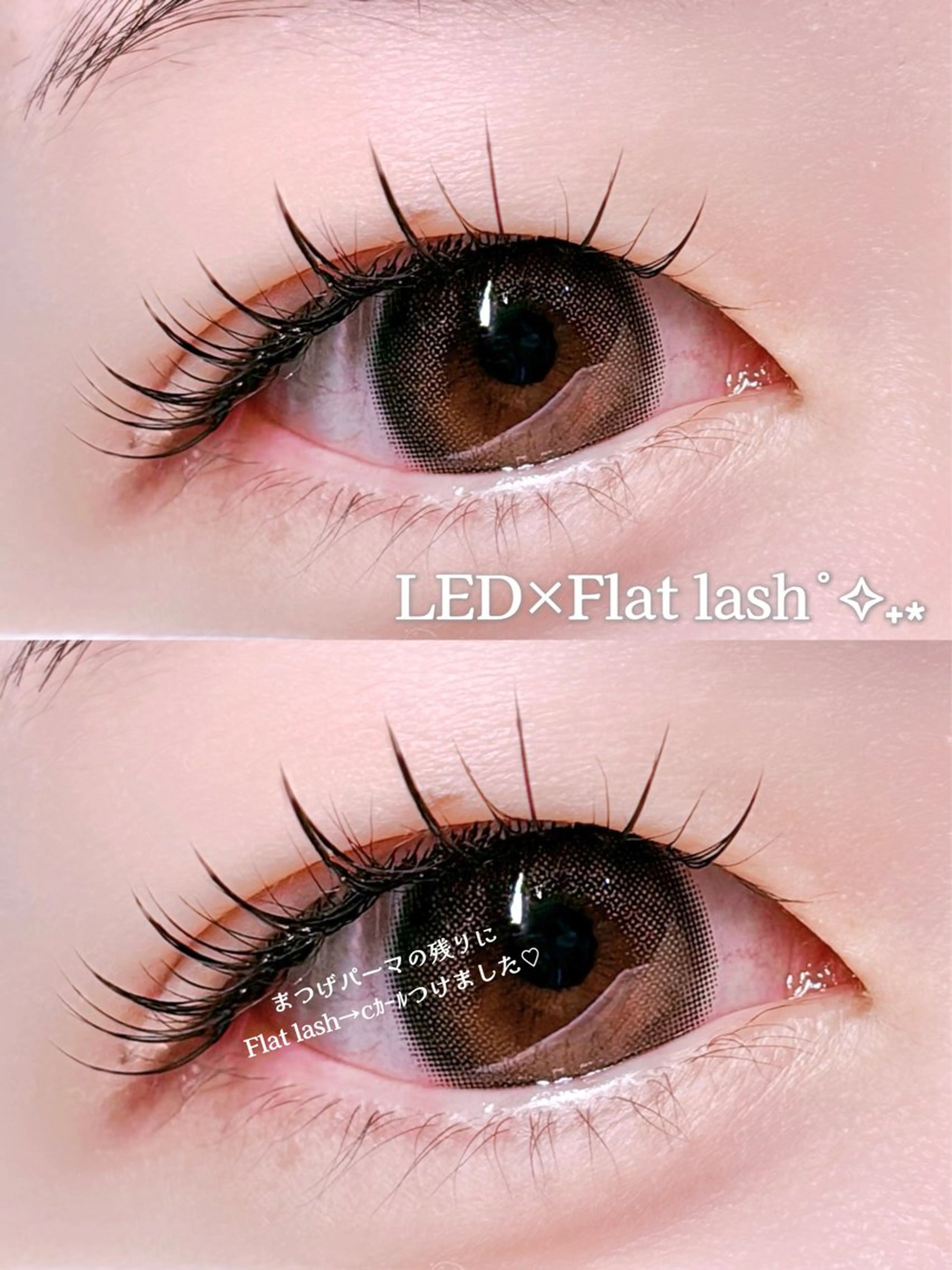 マツエク・マツパ マツエク Tulipe 栄　八橋のマツエク・マツパデザイン