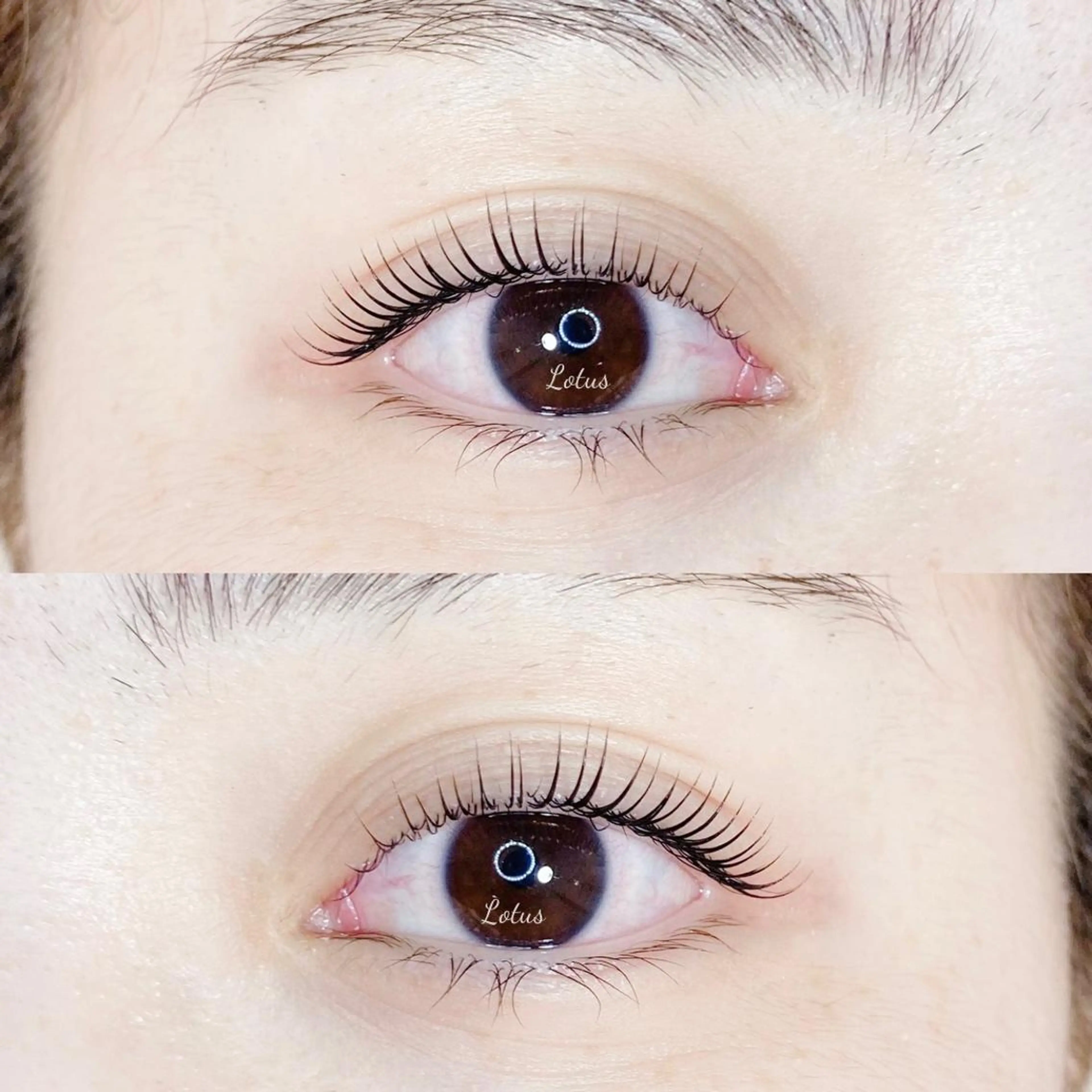 マツエク・マツパ マツパ Lotus所属・Lotus ロータスのマツエク・マツパデザイン