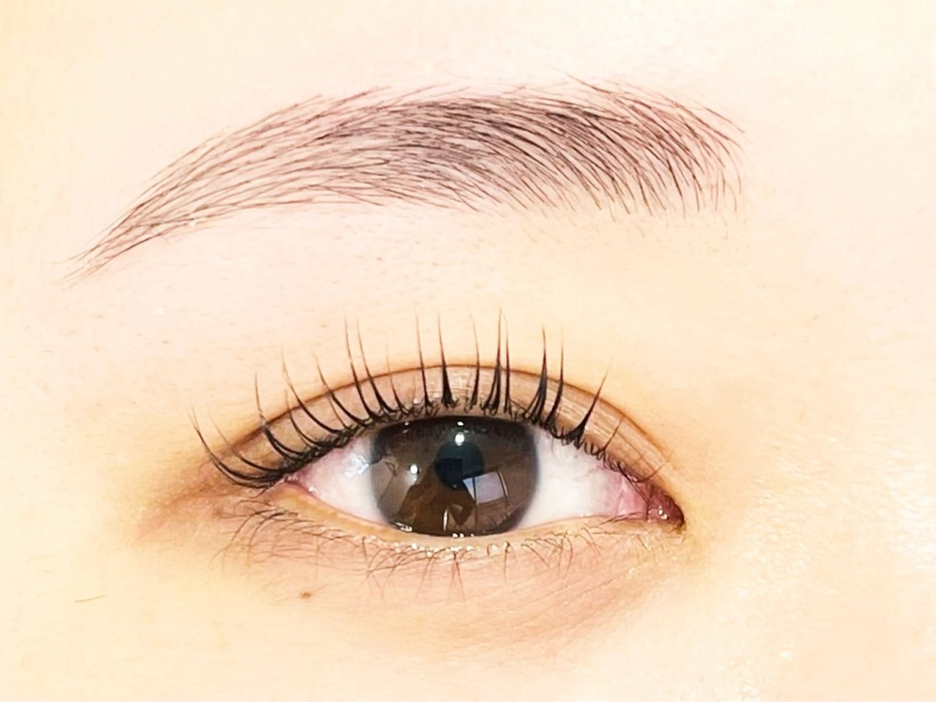 🌸まつ毛パーマ（上のみ）🌸選べるデザイン✨の写真