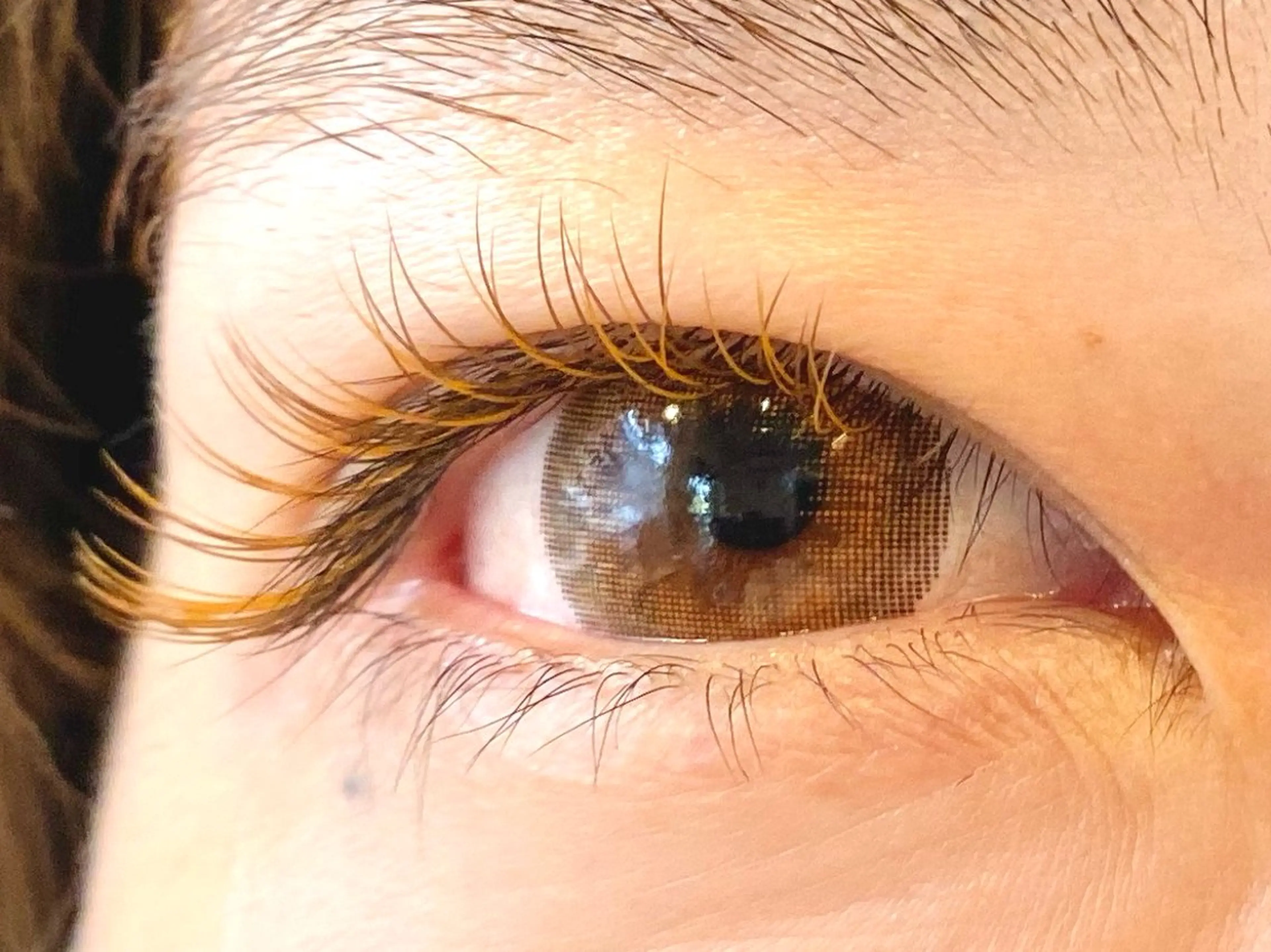 フルカラー100本(カラーMIX無料)の写真