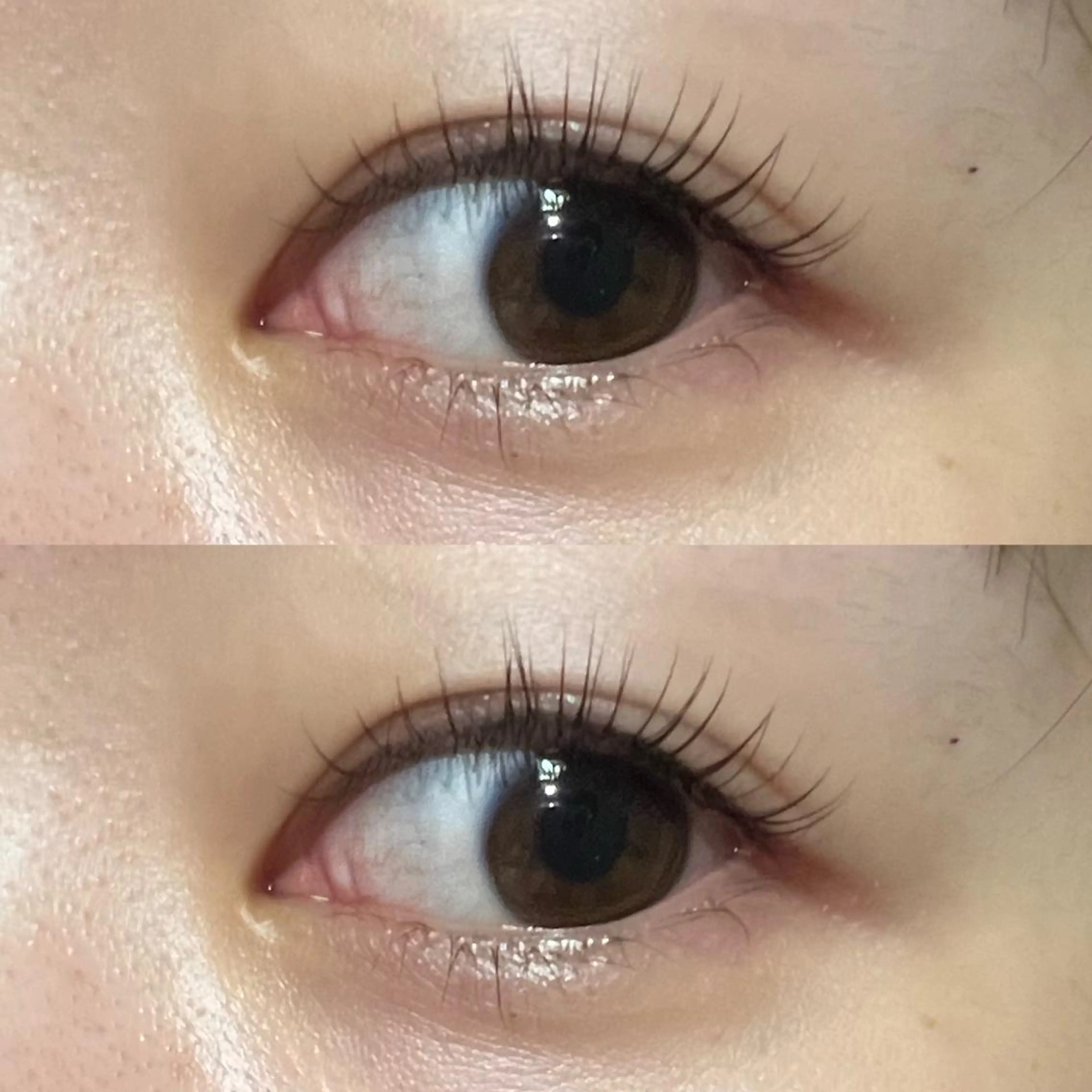 ☀️アイシャンプー付☀️パーマorパリジェンヌ🌻の写真