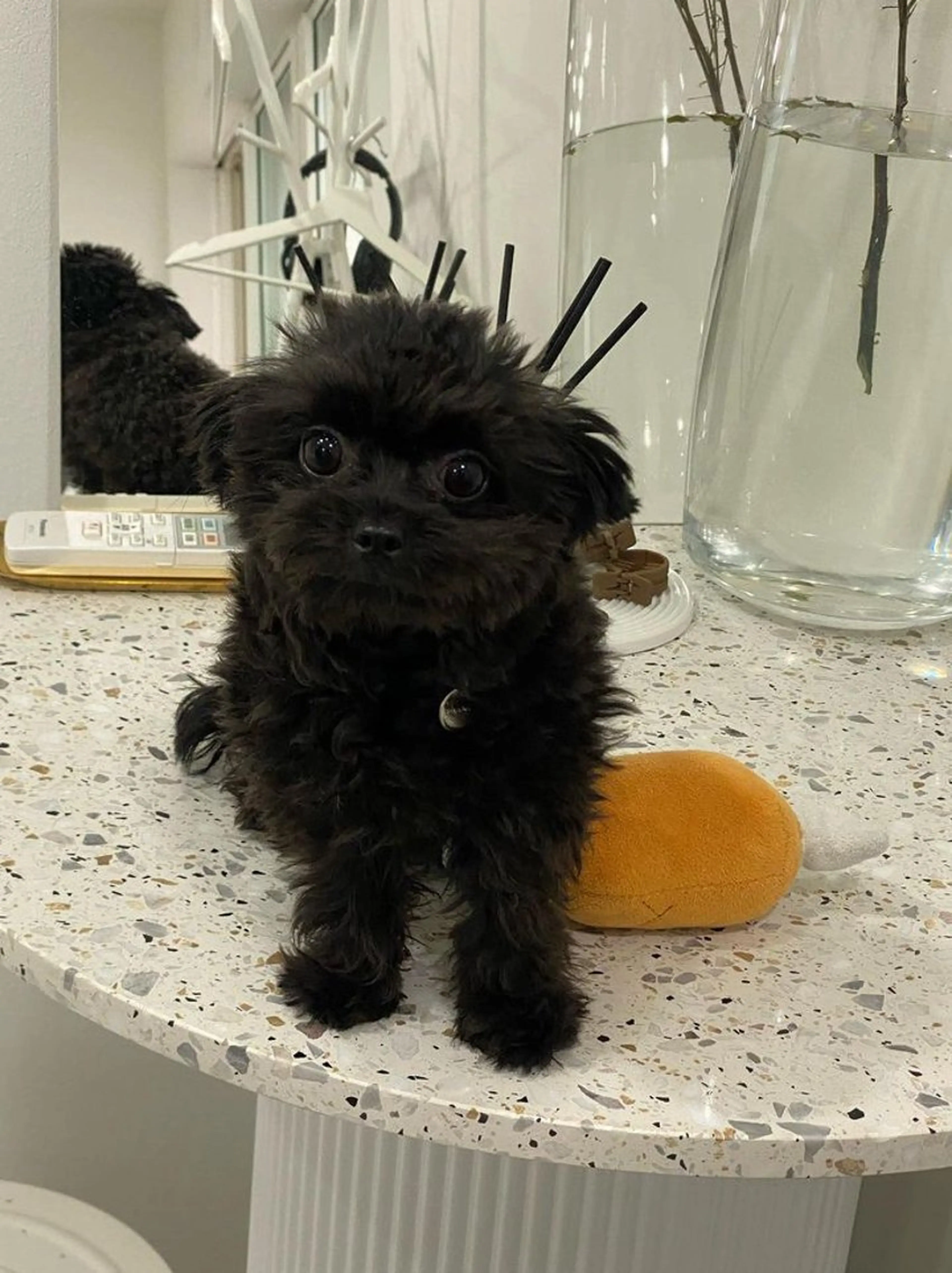 eye salon u-ga所属・eye salon U-ga/中目黒のその他イメージ