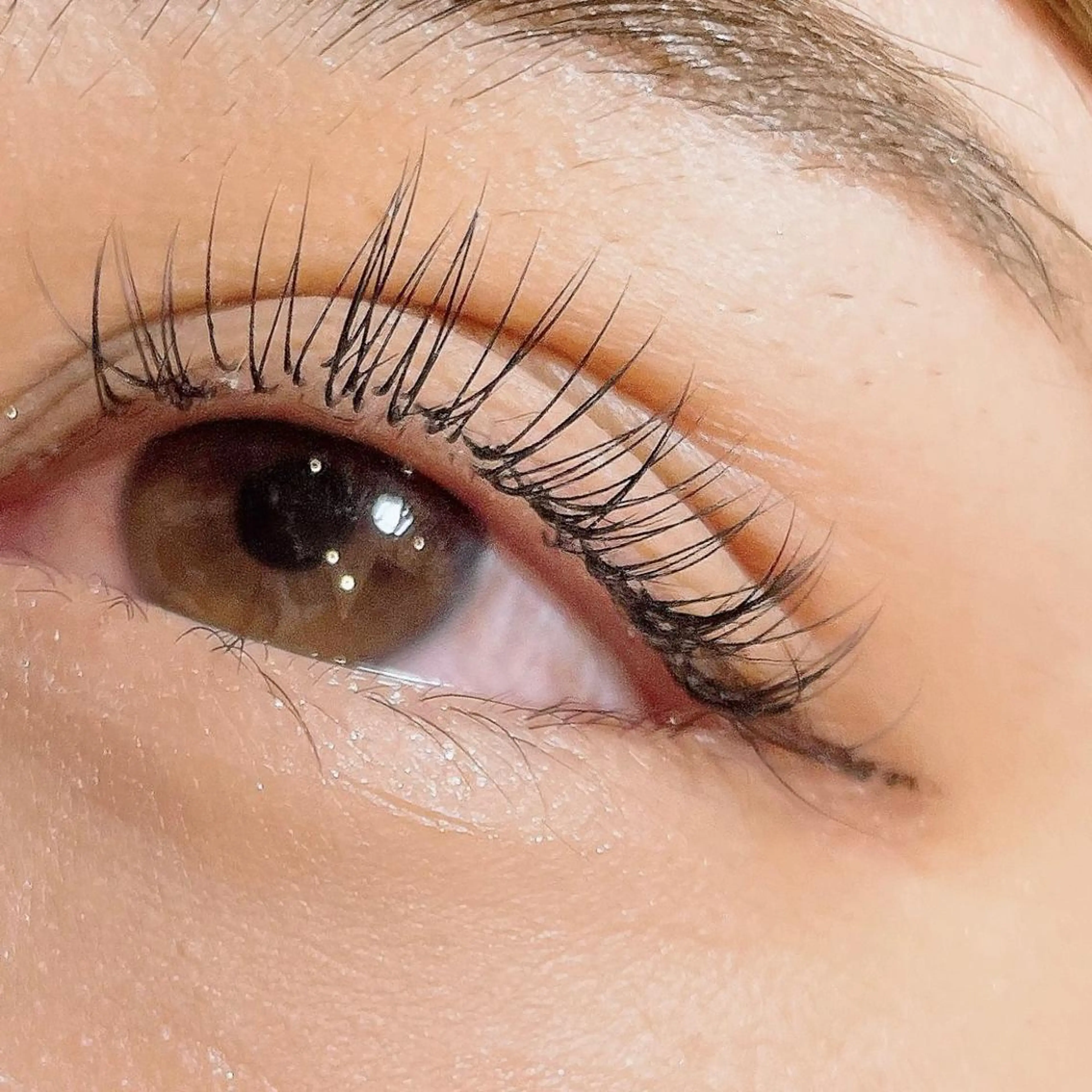 マツエク・マツパ キュート 玉木 愛の眉毛・アイブロウイメージ