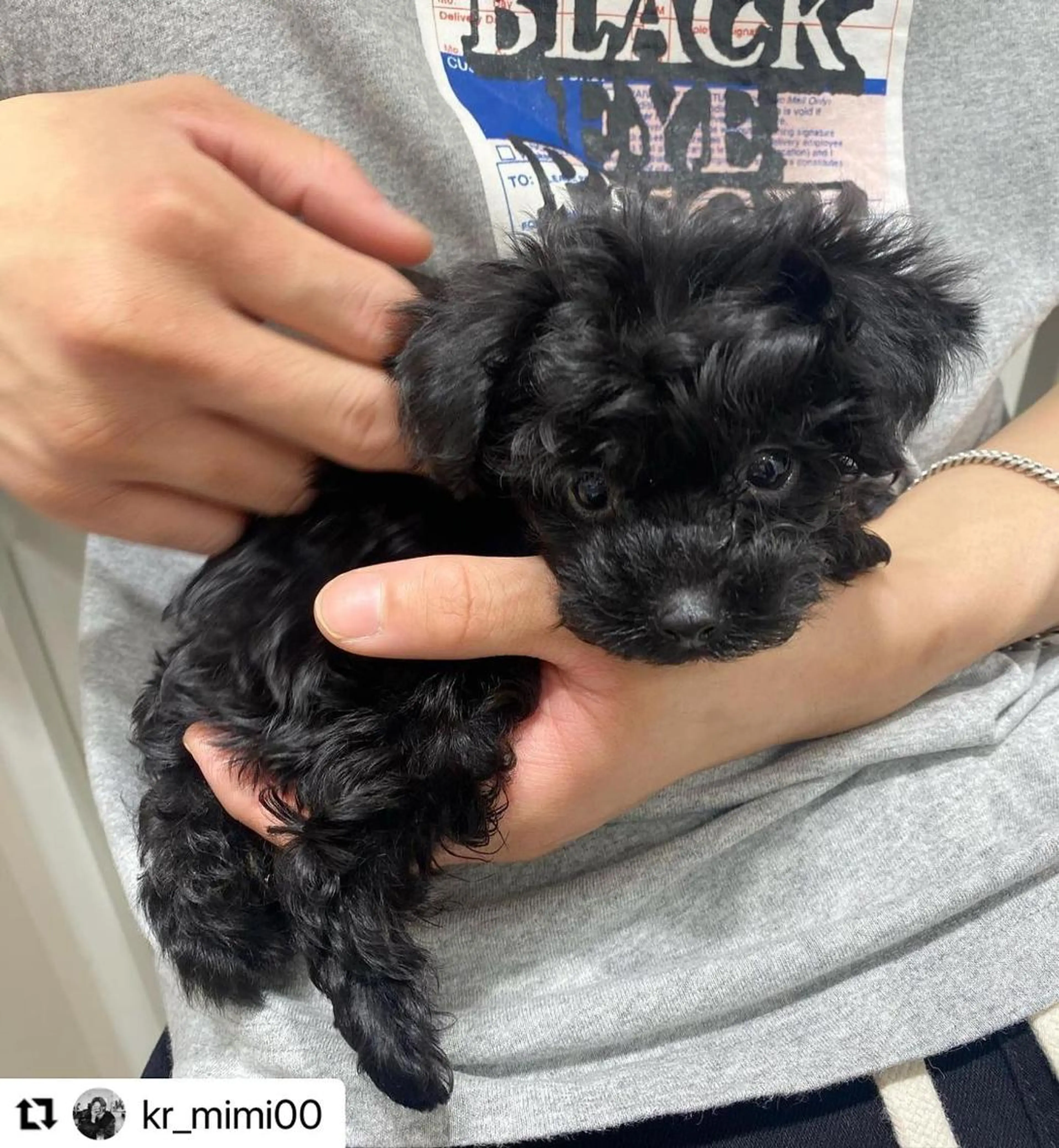 ミディアム カラー メンズ 🩷Eny terrace🩷のヘアスタイル