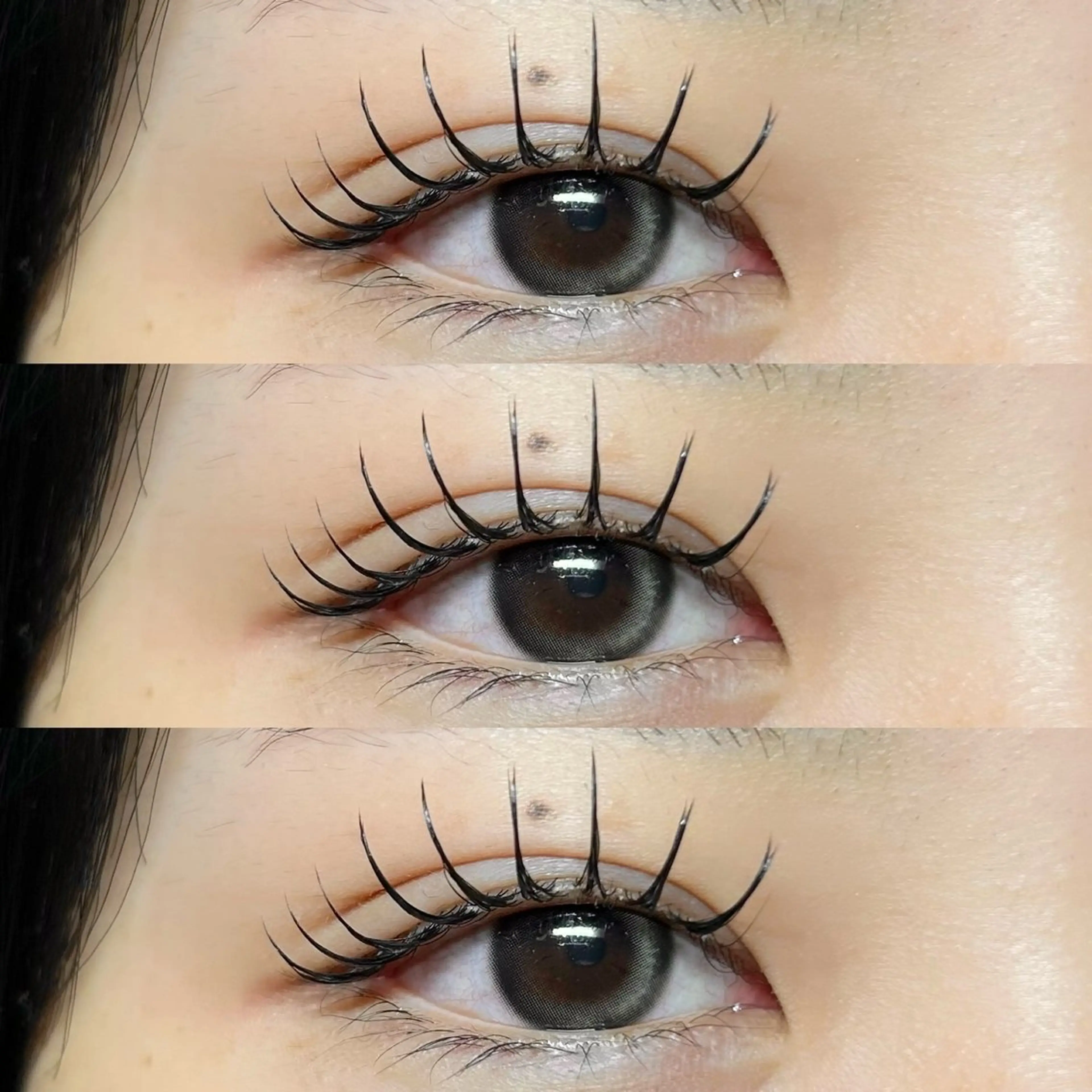 &Healthy🫧🎀バインドロック40~60束(マツエク&パーマ施術)の写真